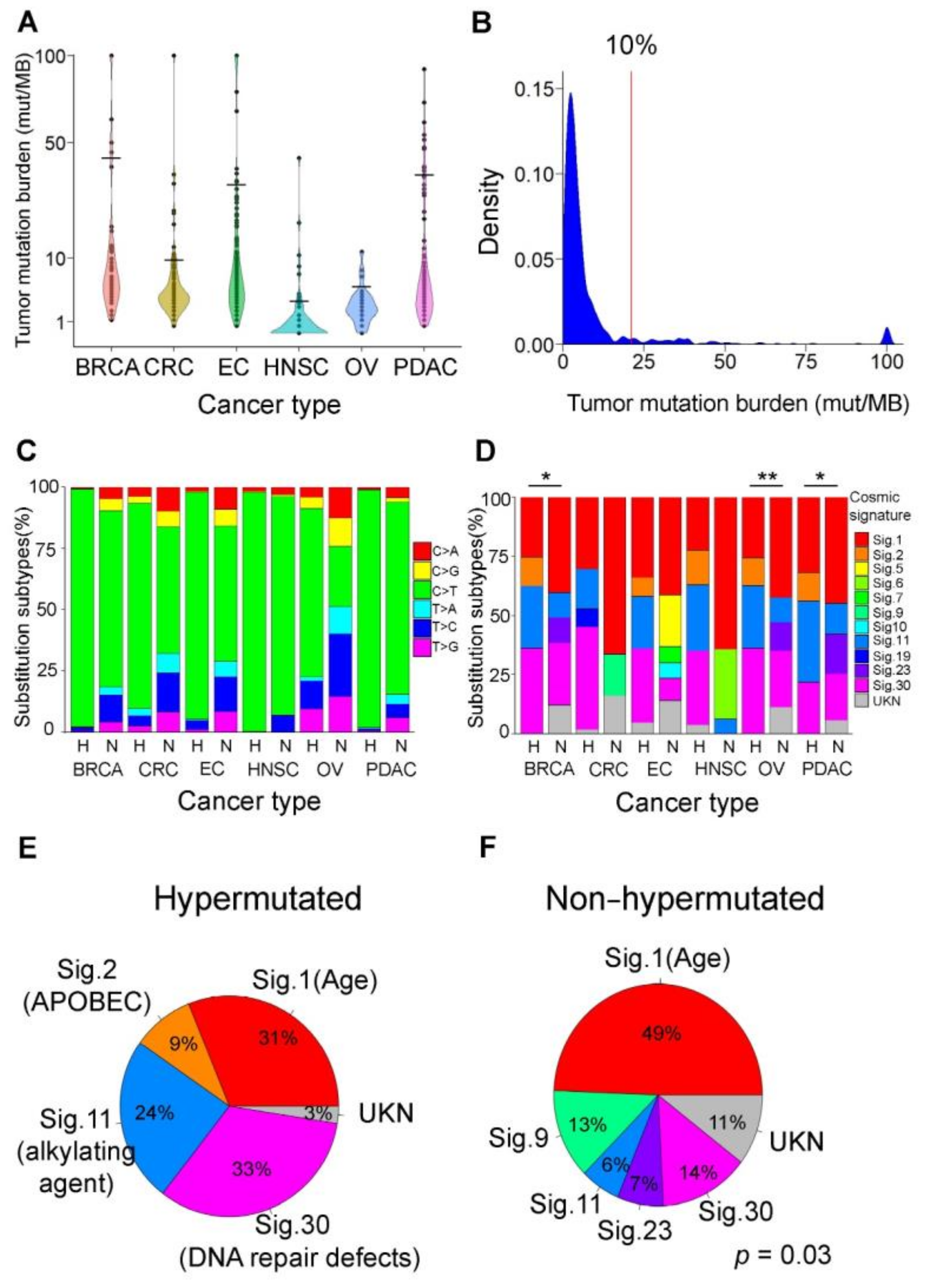 Cancers 13 04317 g002