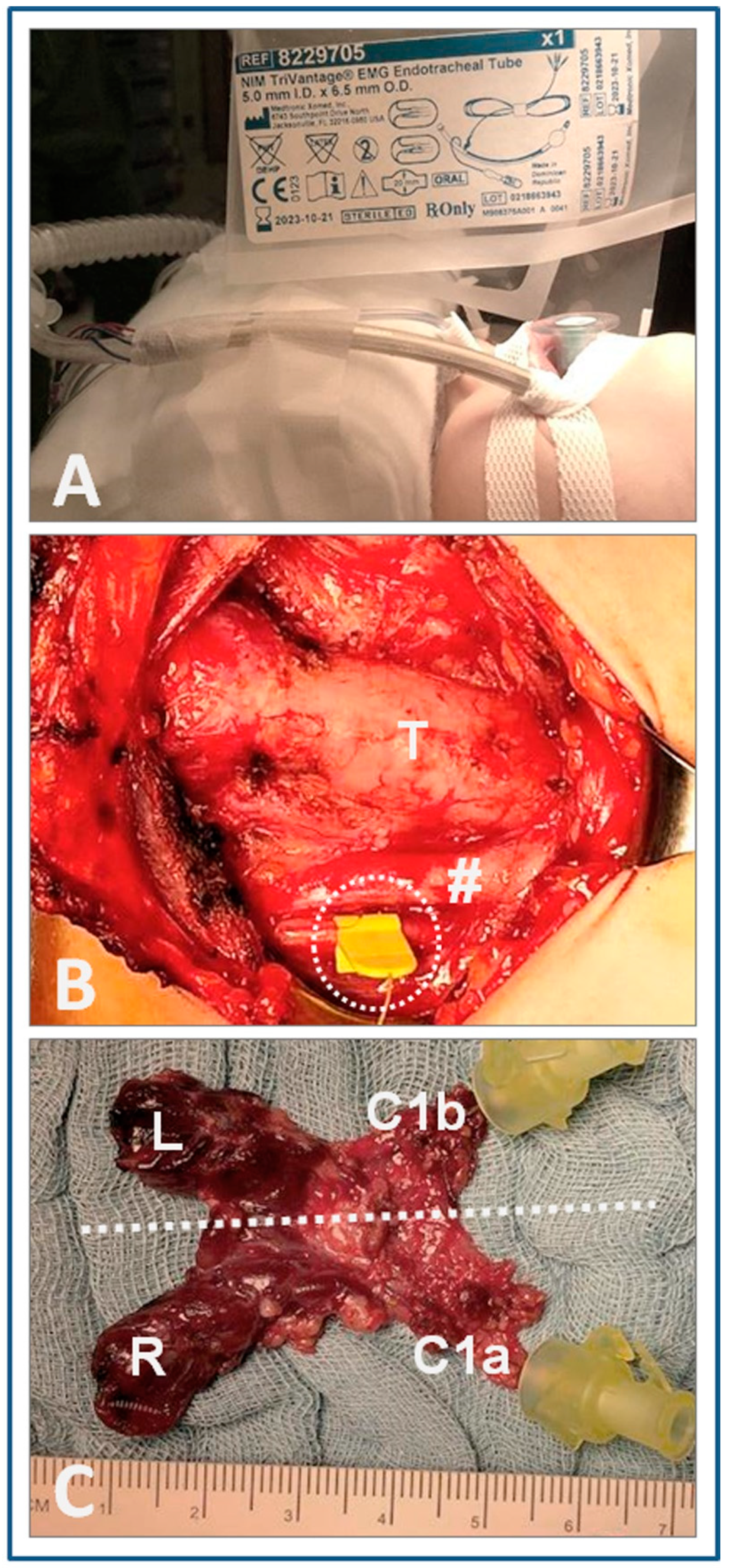 Cancers 13 04333 g004 550