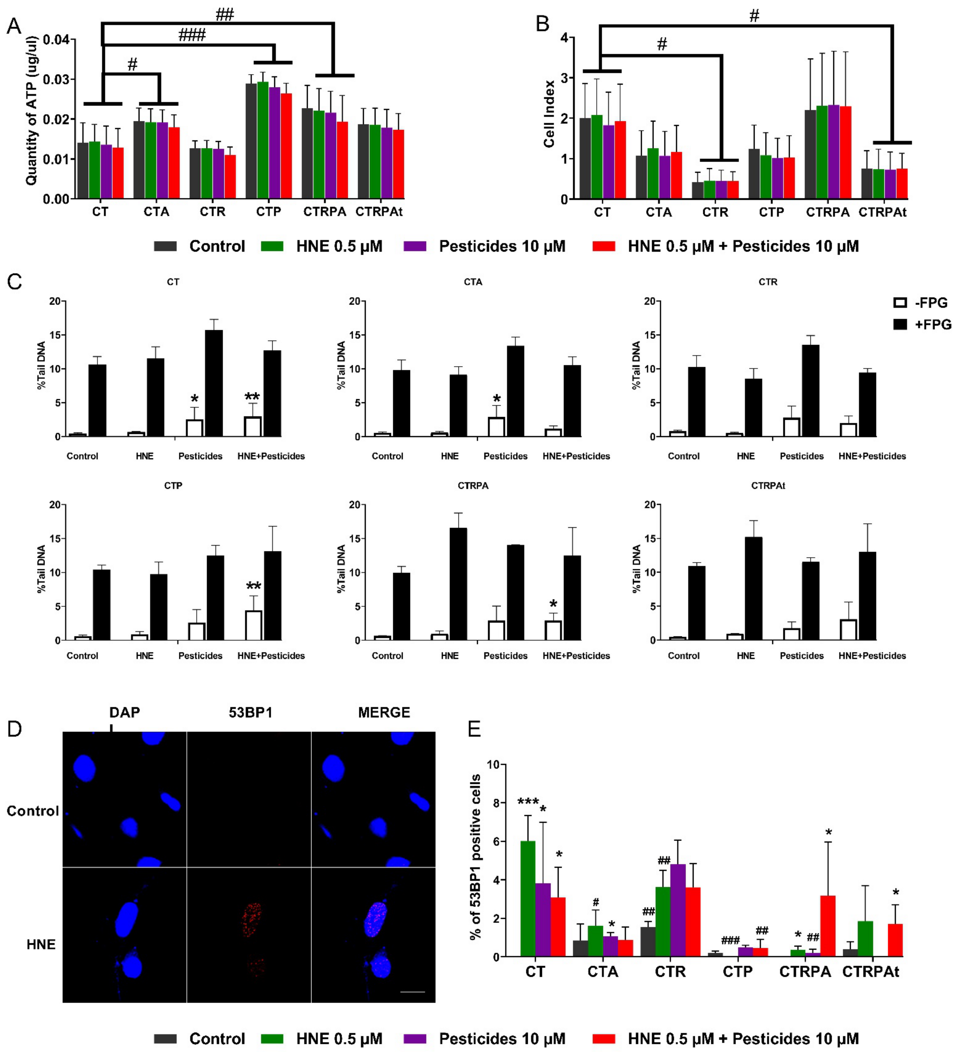 Cancers 13 04337 g001