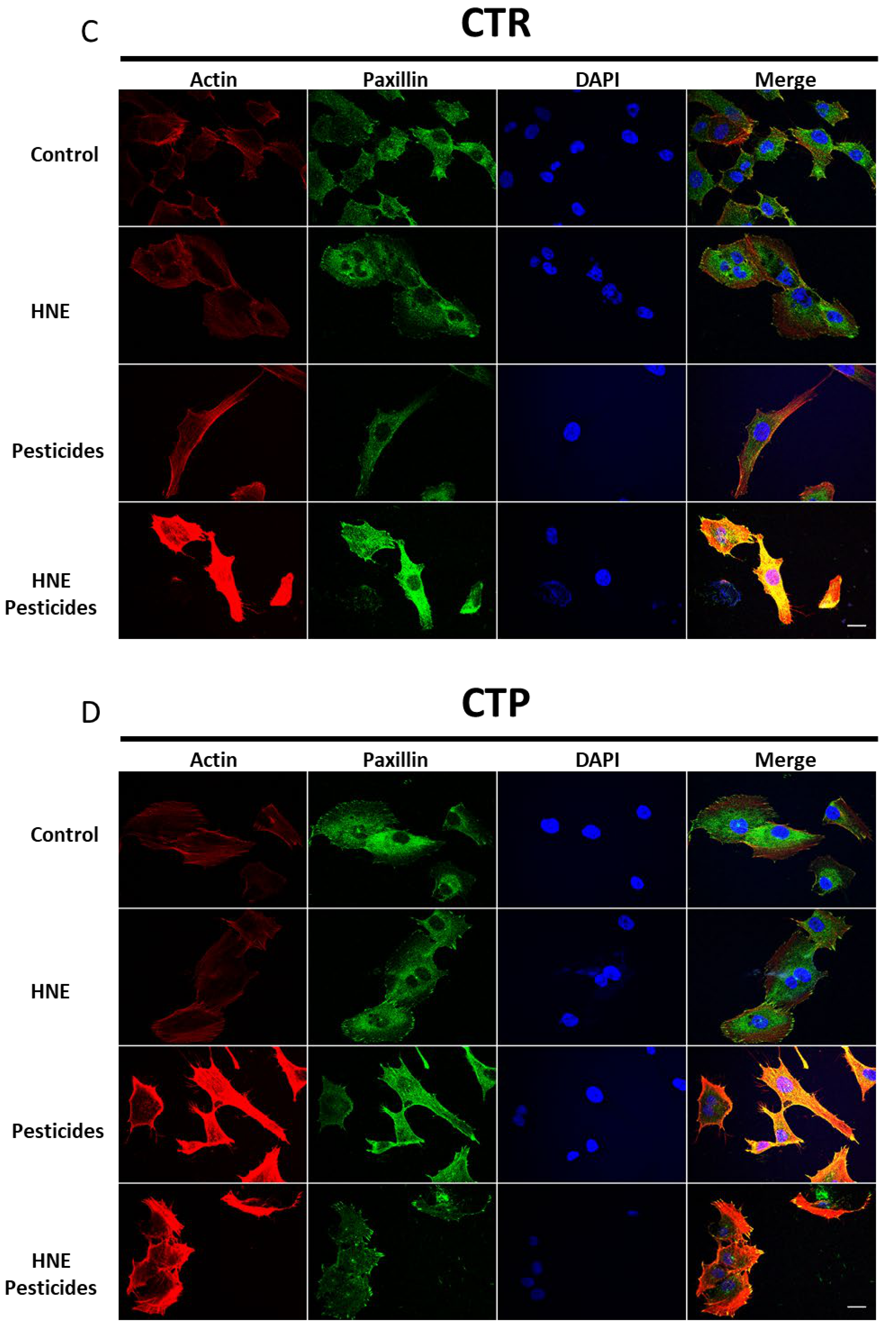 Cancers 13 04337 g005b
