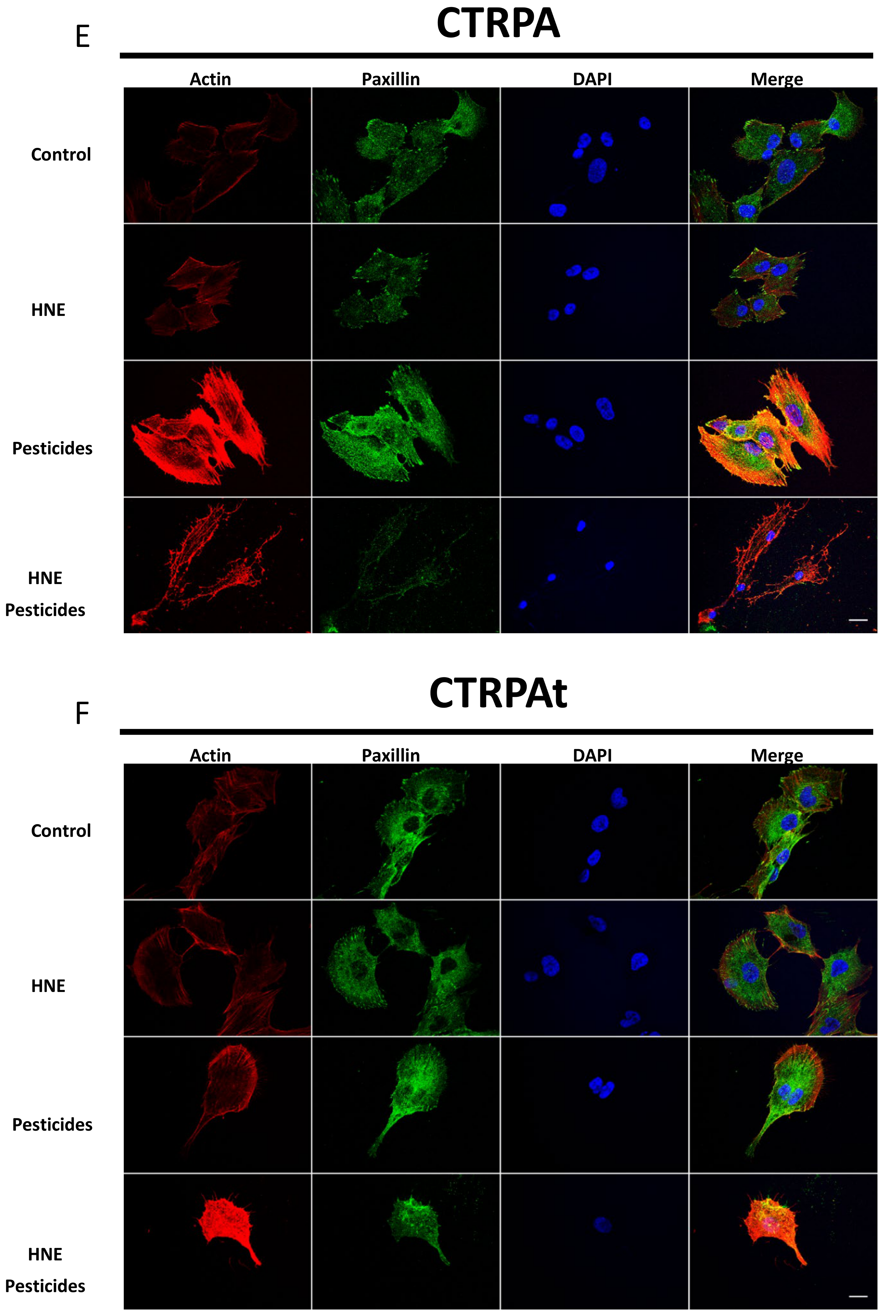 Cancers 13 04337 g005c