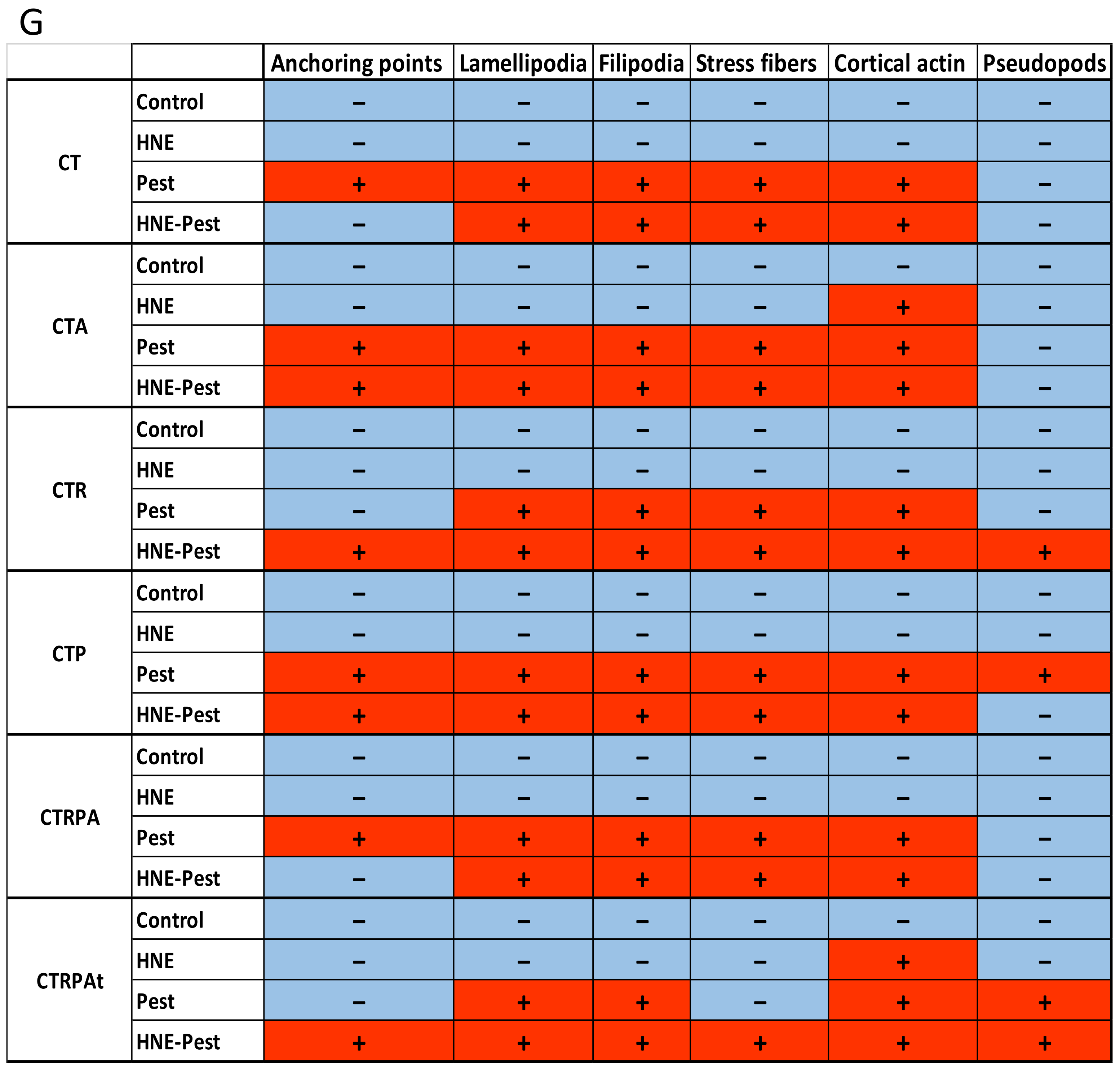 Cancers 13 04337 g005d
