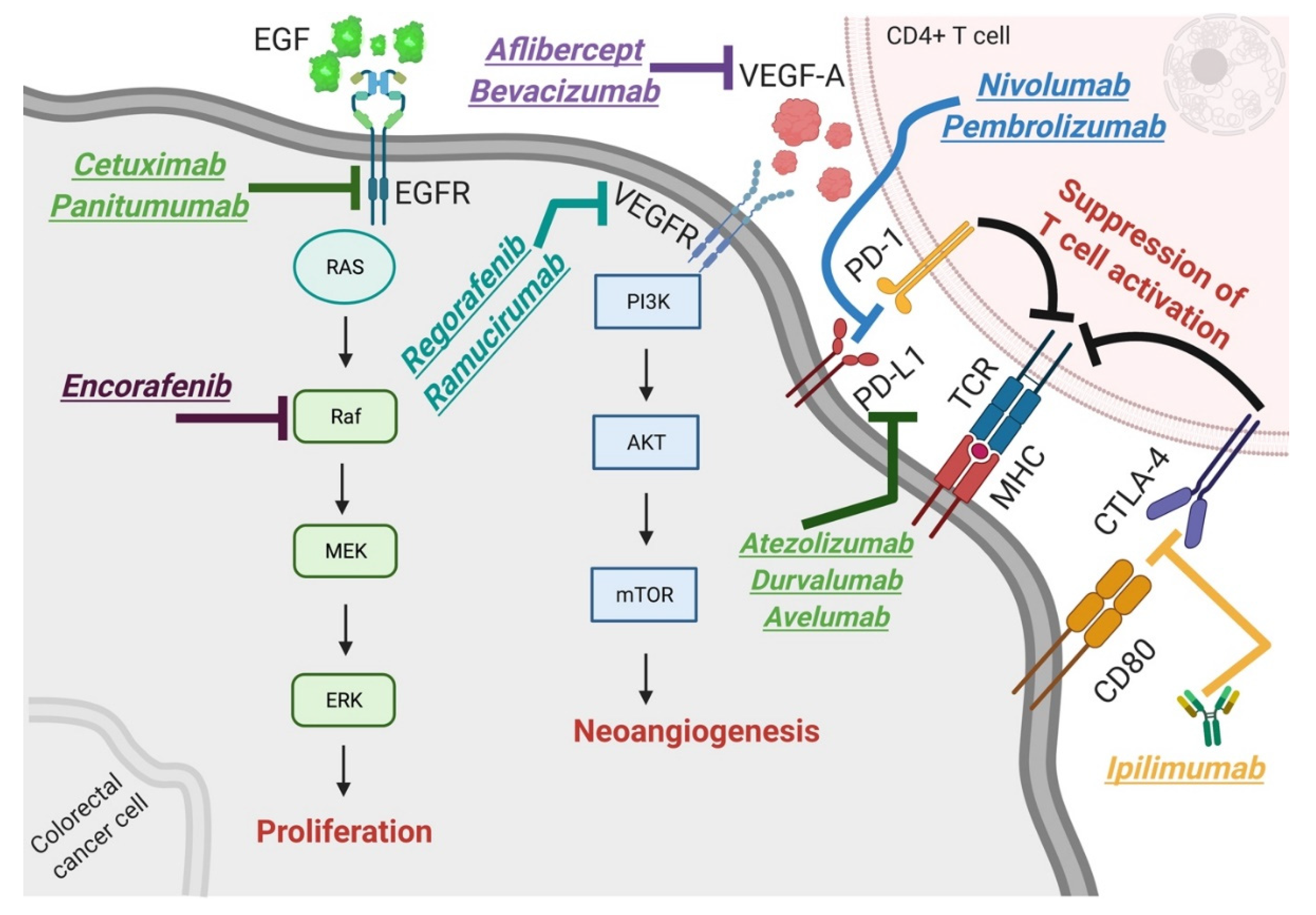 Cancers 13 04345 g002