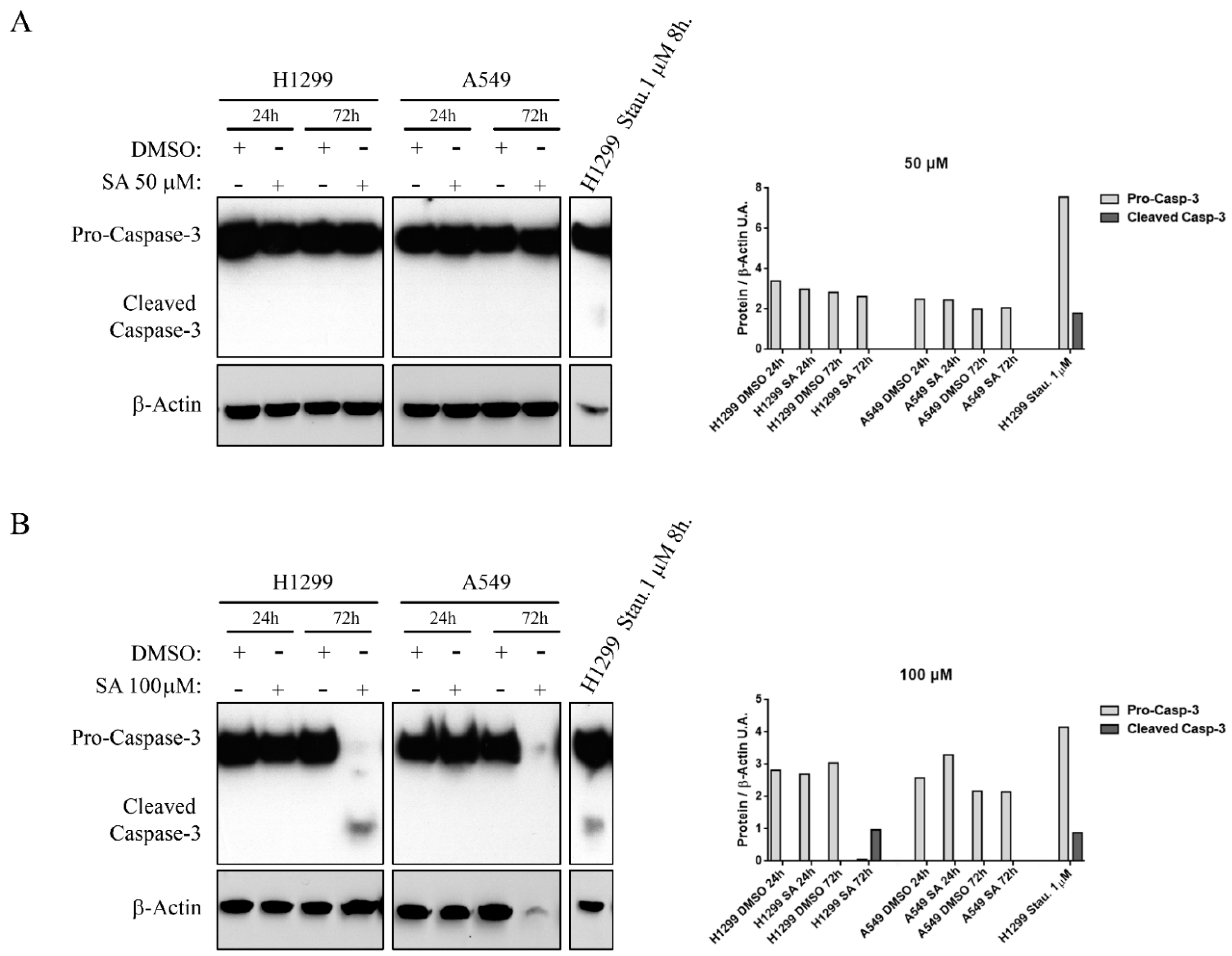 Cancers 13 04370 g003