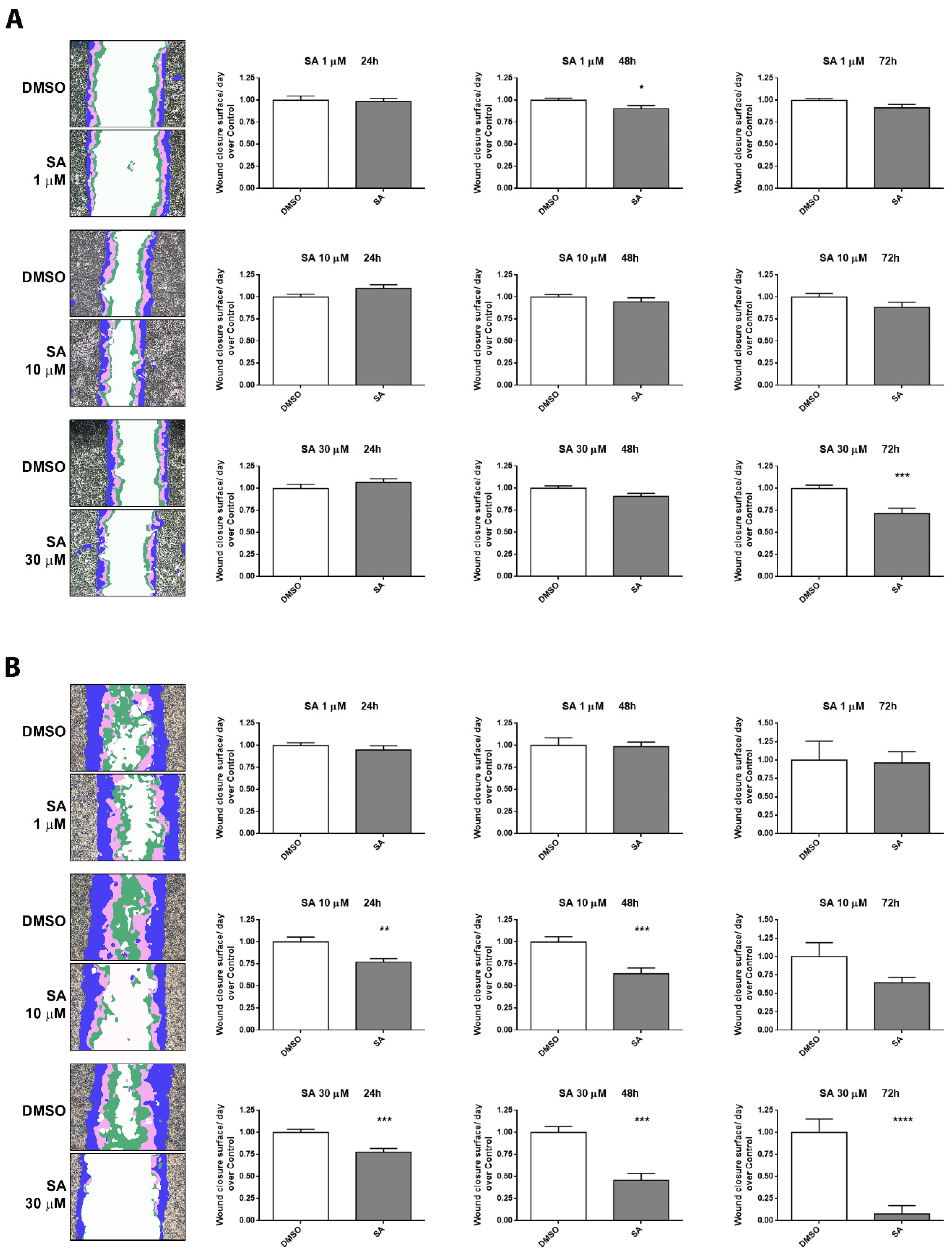 Cancers 13 04370 g004