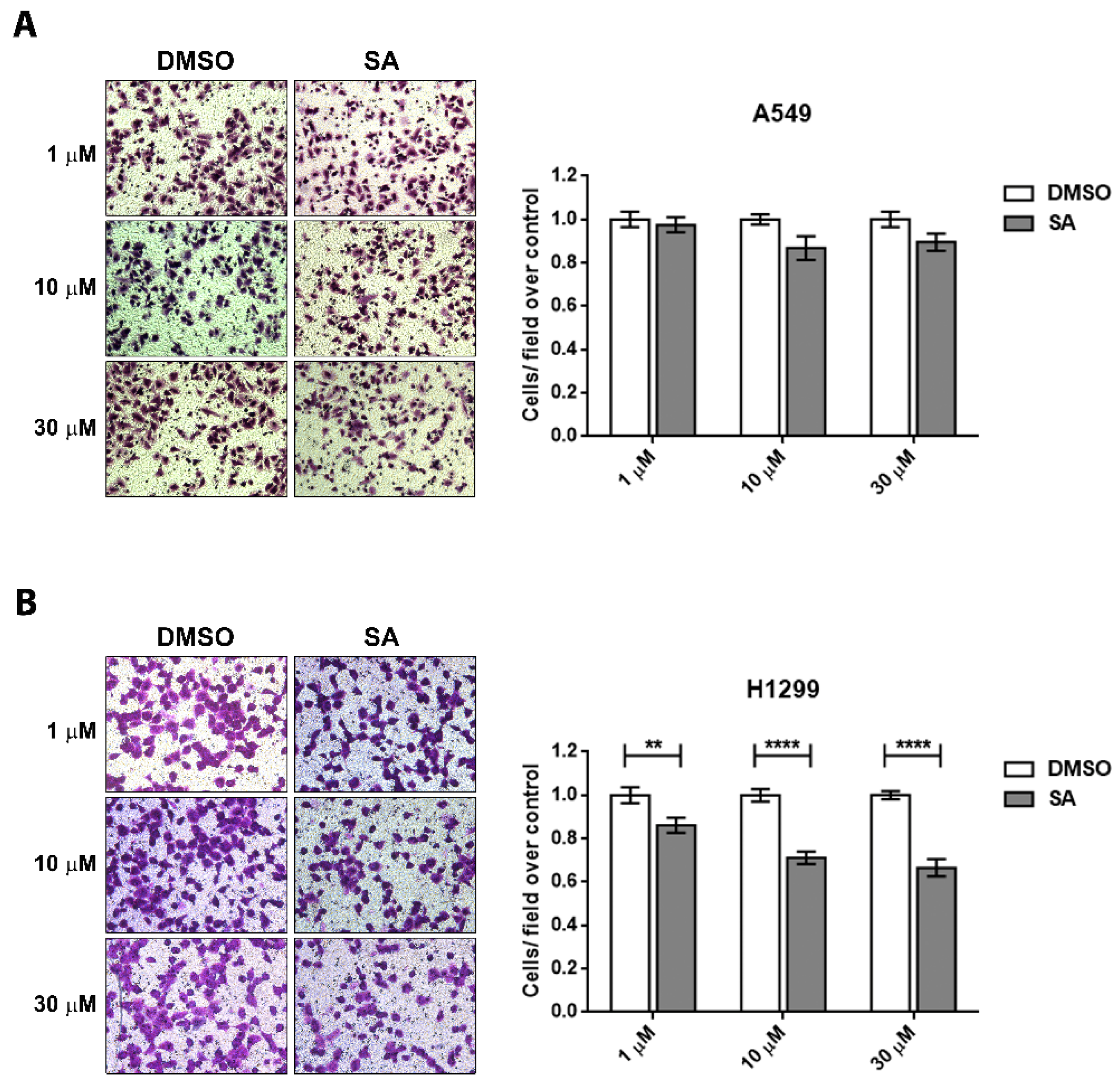 Cancers 13 04370 g005