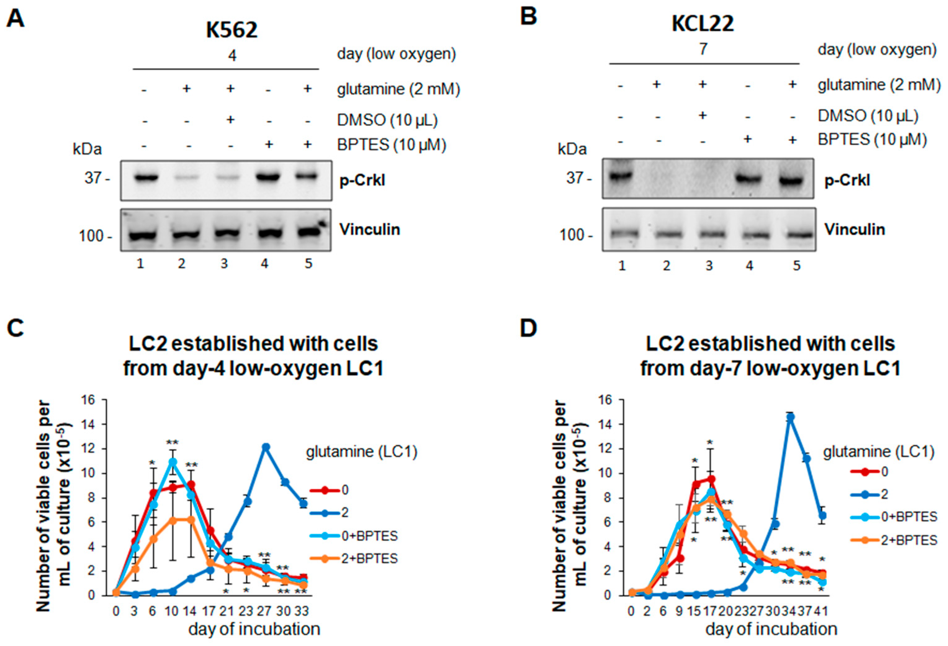 Cancers 13 04372 g007 Cancers 13 04372 g007