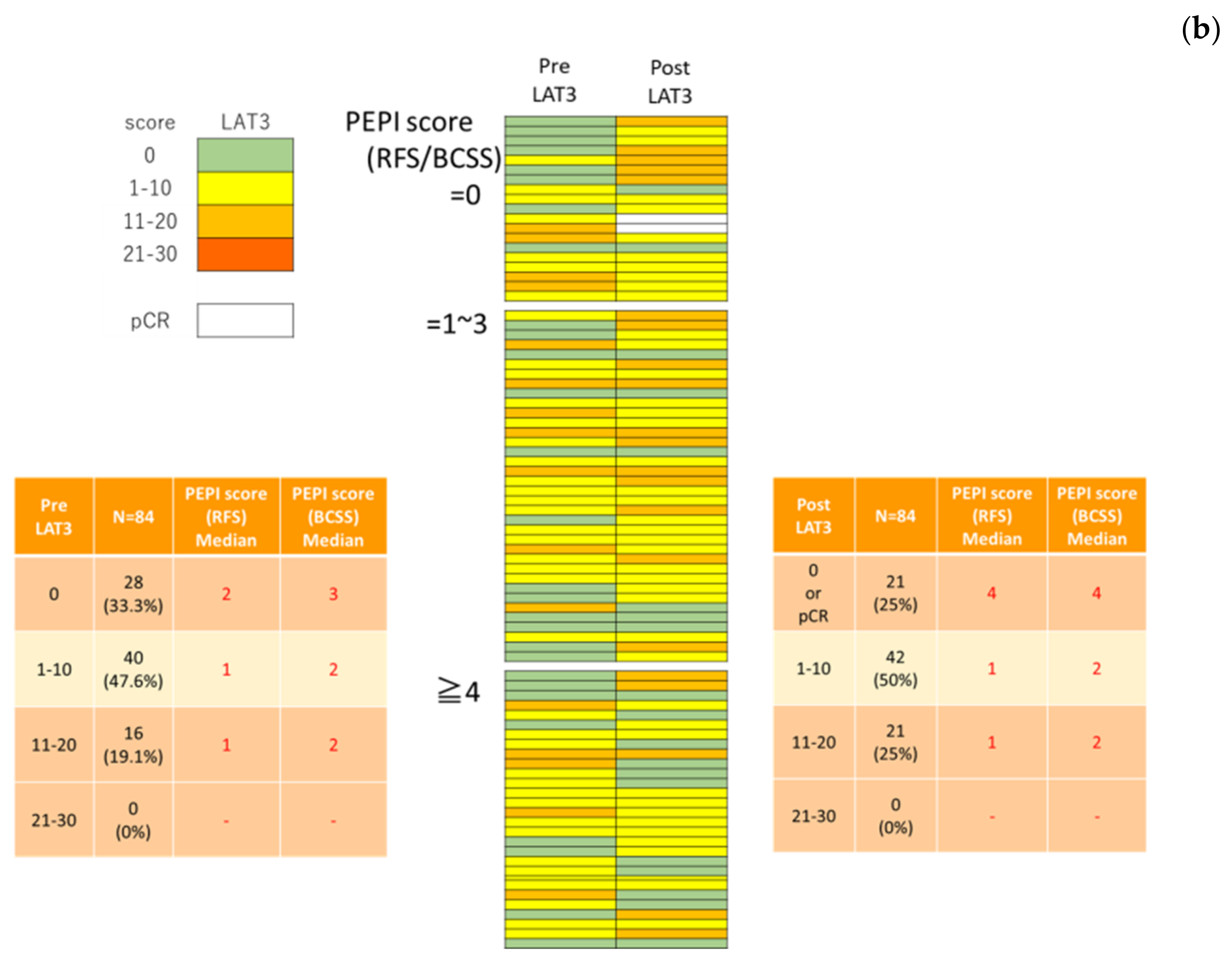 Cancers 13 04375 g003b
