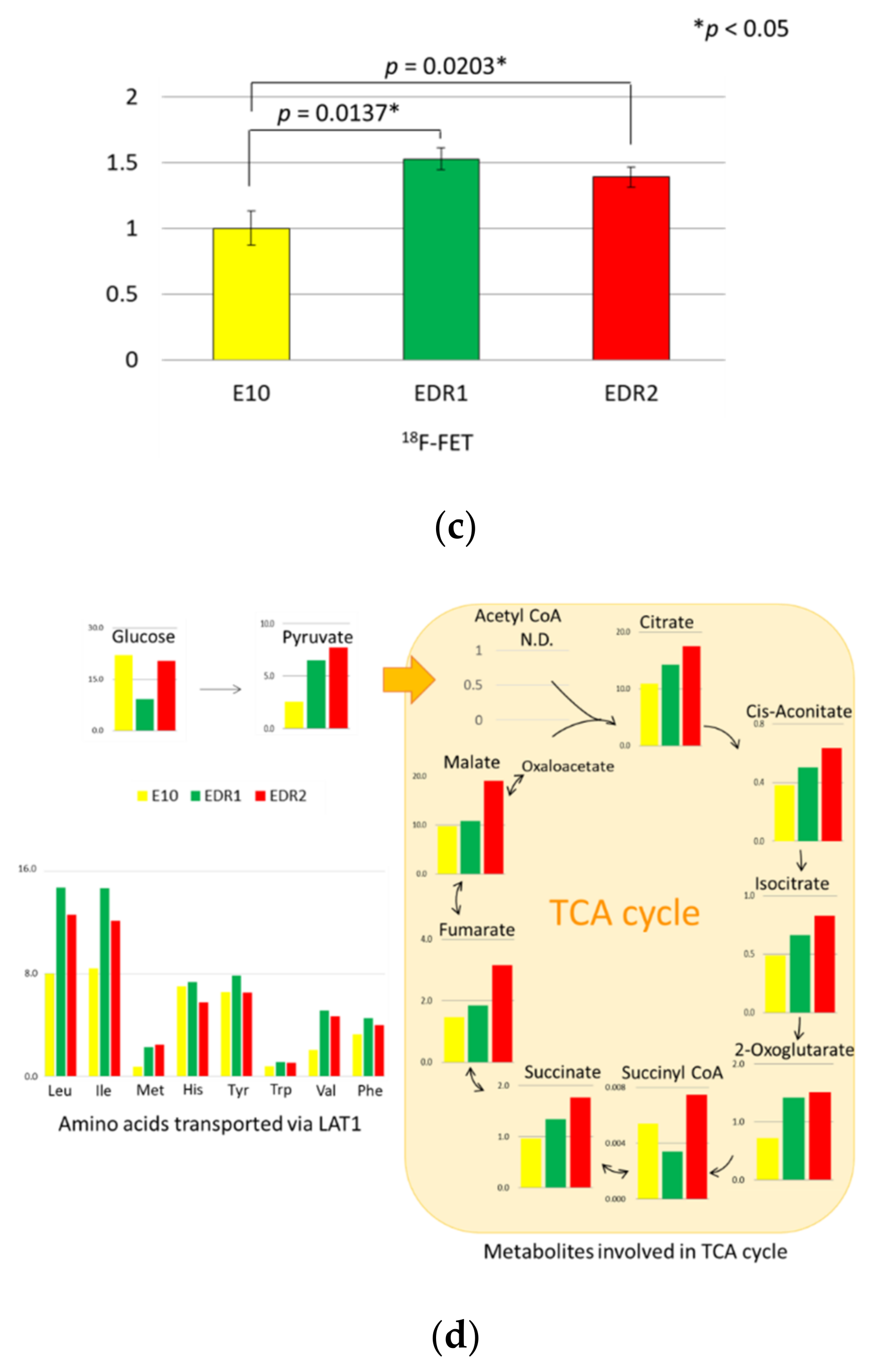 Cancers 13 04375 g004b