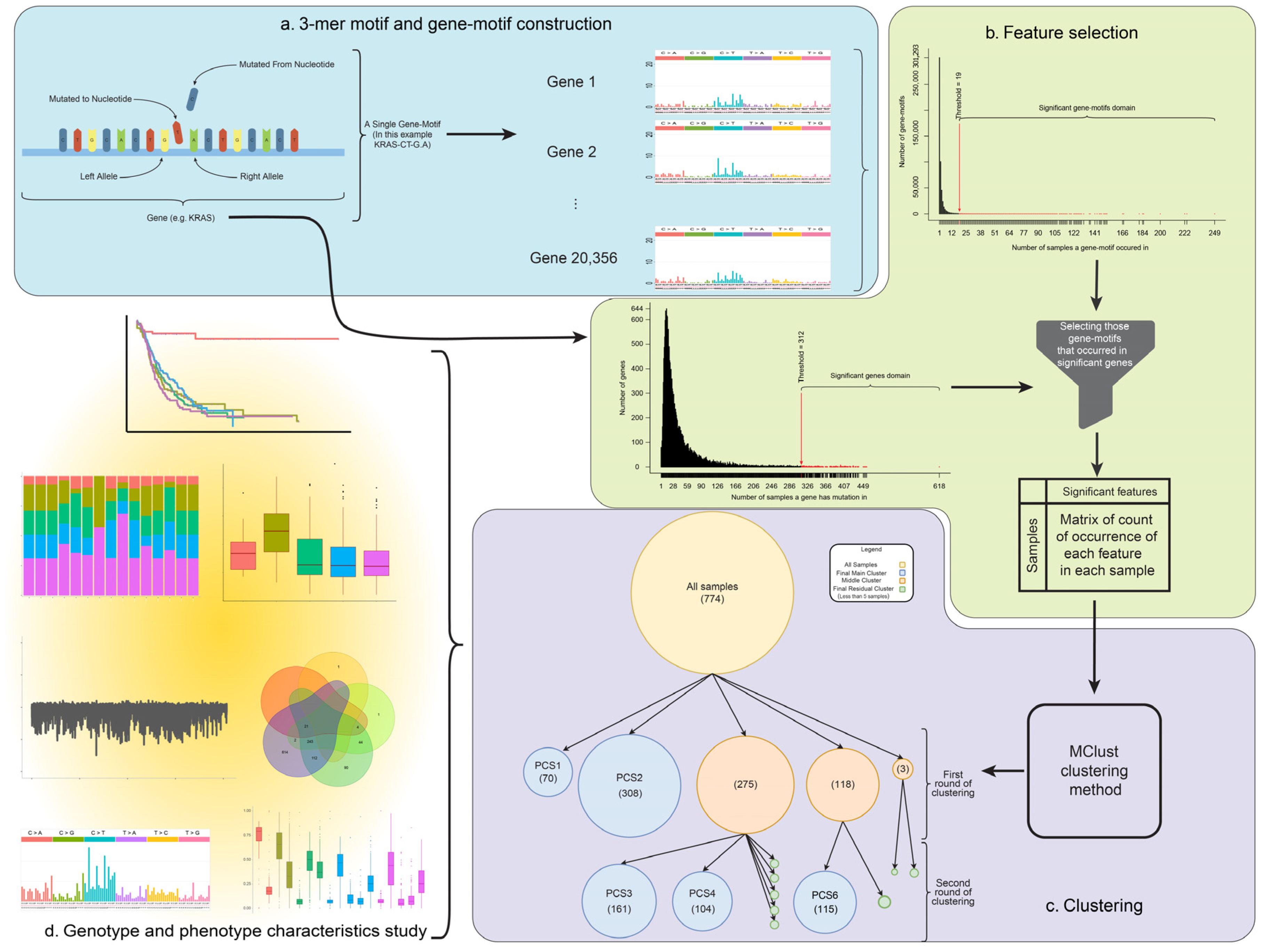 Cancers 13 04376 g001