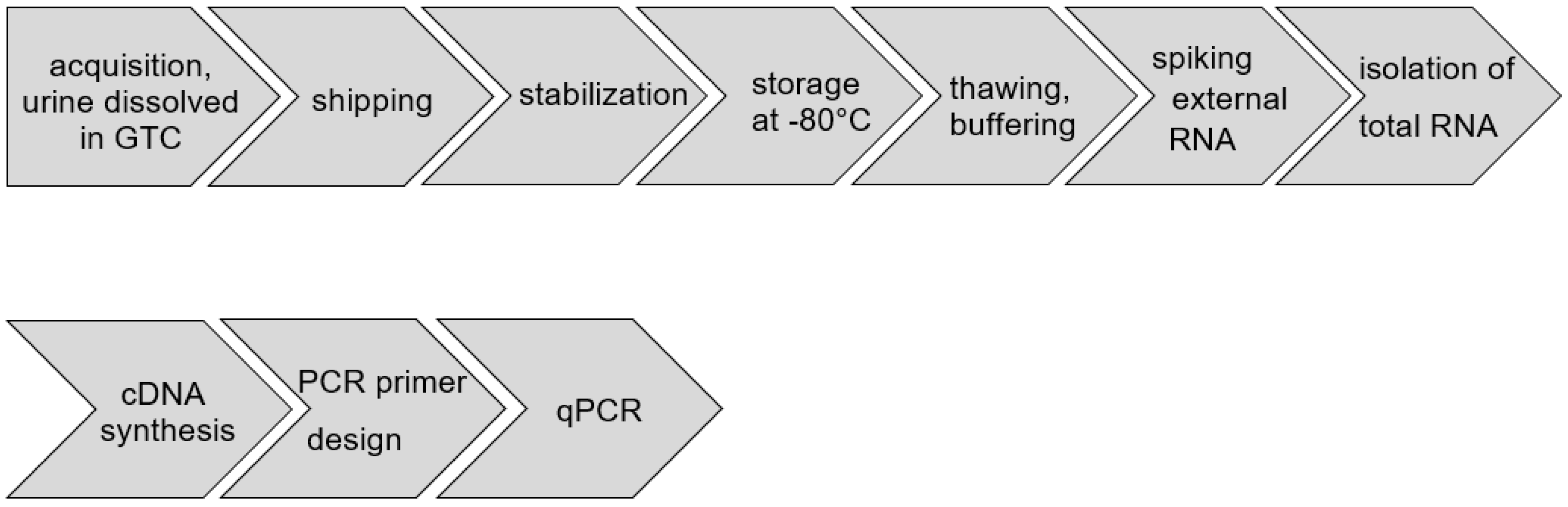 Cancers 13 04381 g001 550