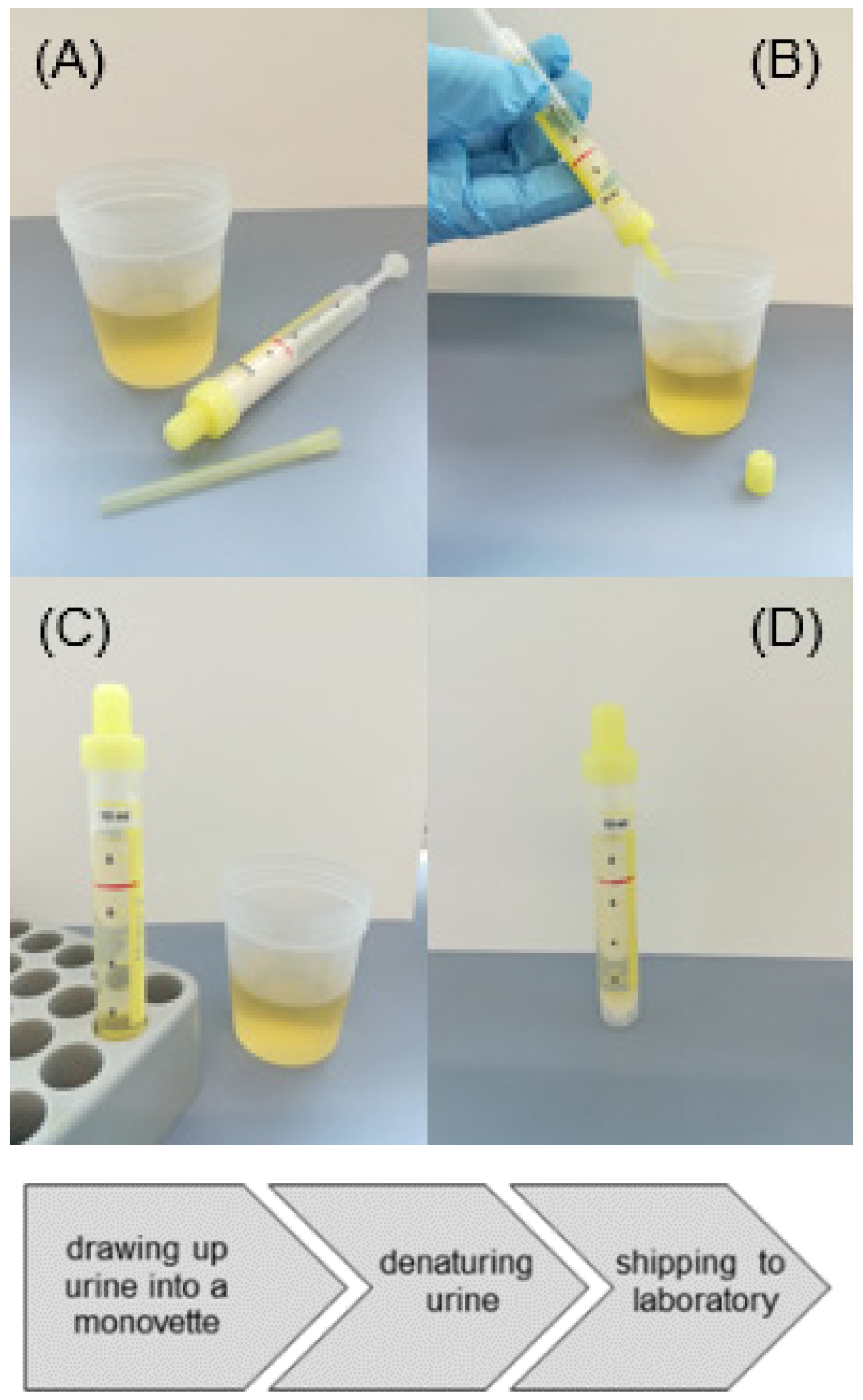 Cancers 13 04381 g002 550