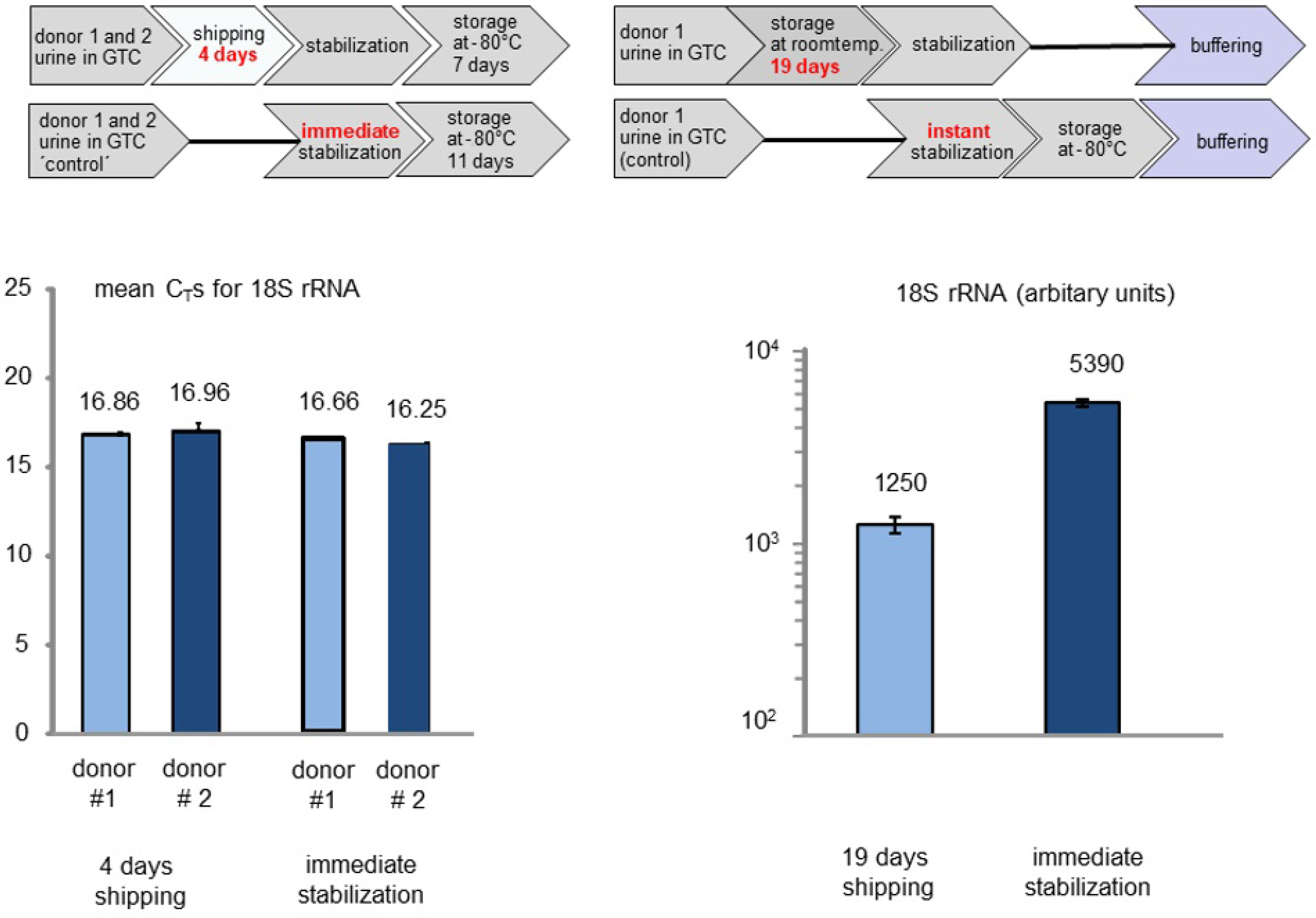 Cancers 13 04381 g004 550