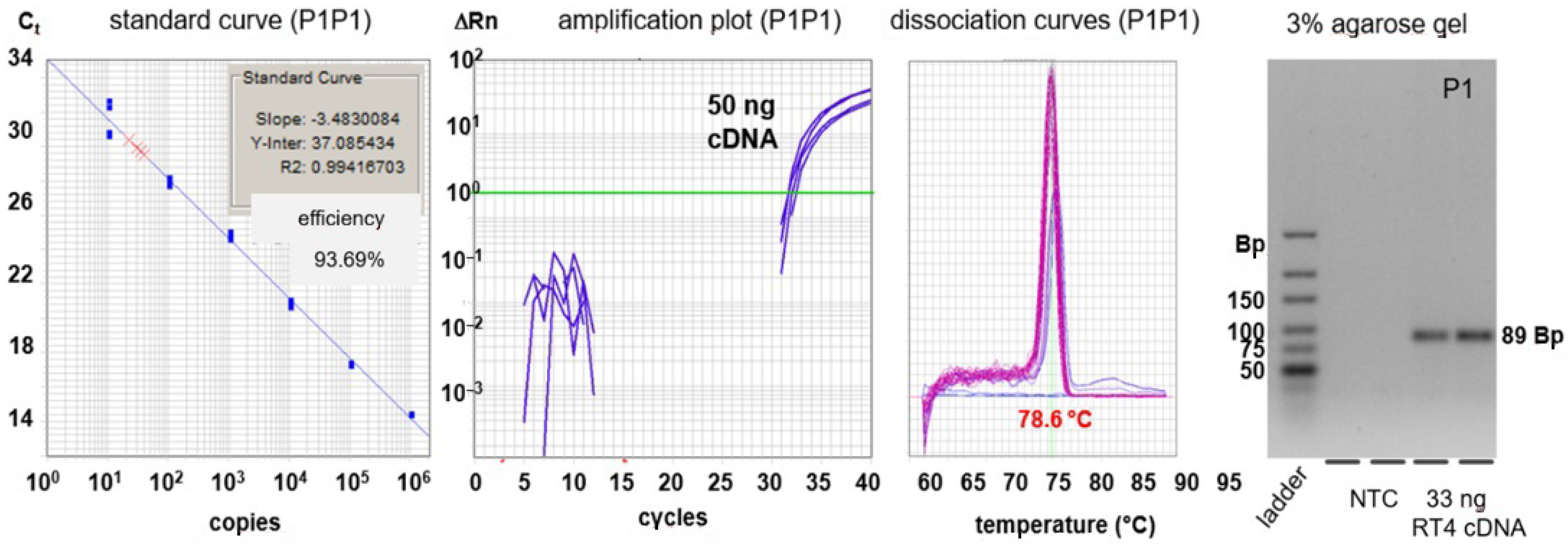 Cancers 13 04381 g006 550