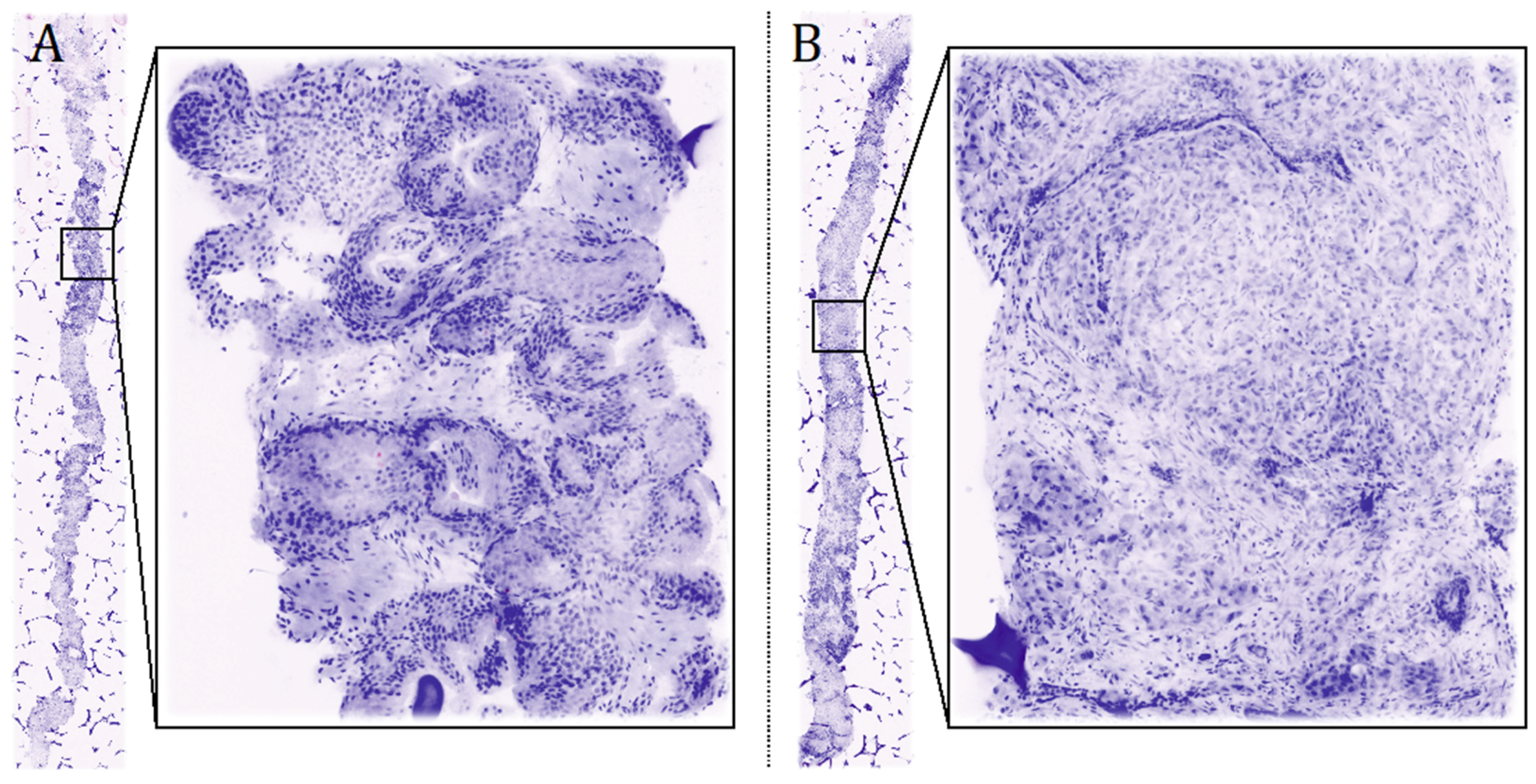 Cancers 13 04382 g002