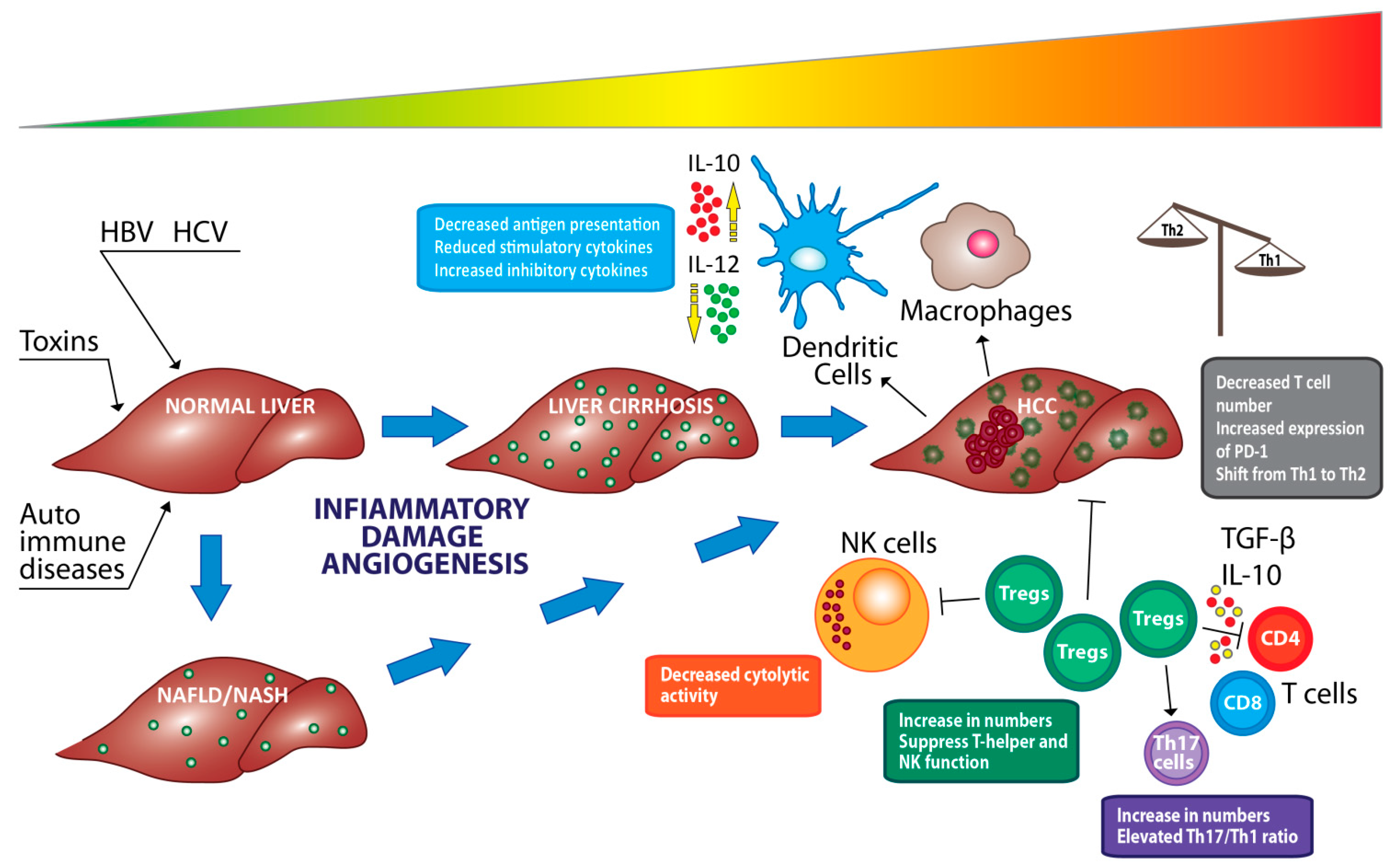 Cancers 13 04387 g003 550