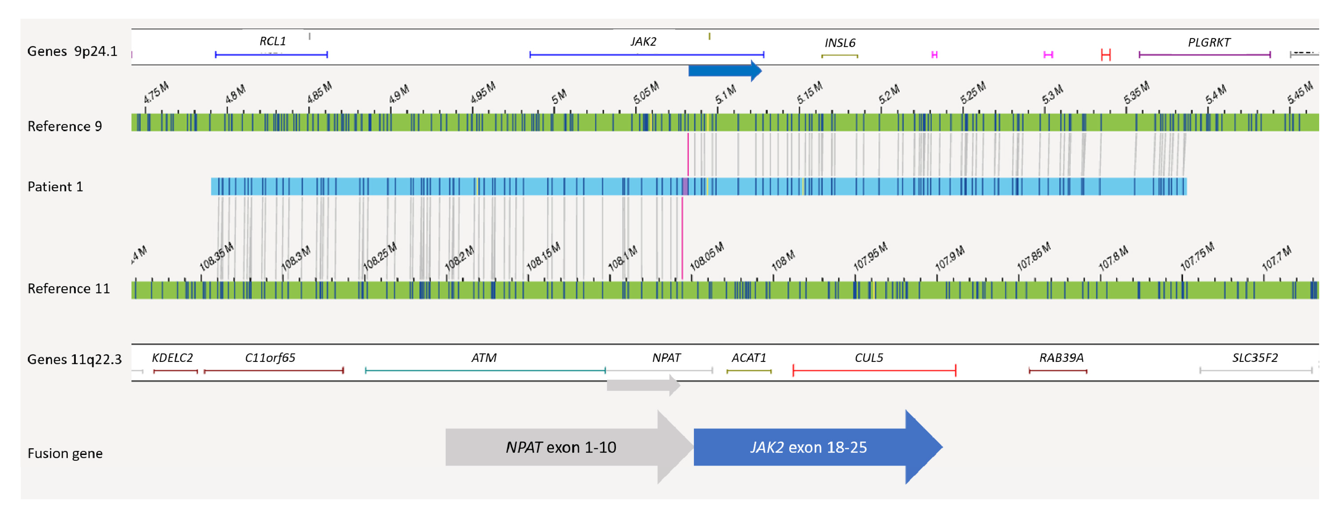 Cancers 13 04388 g003