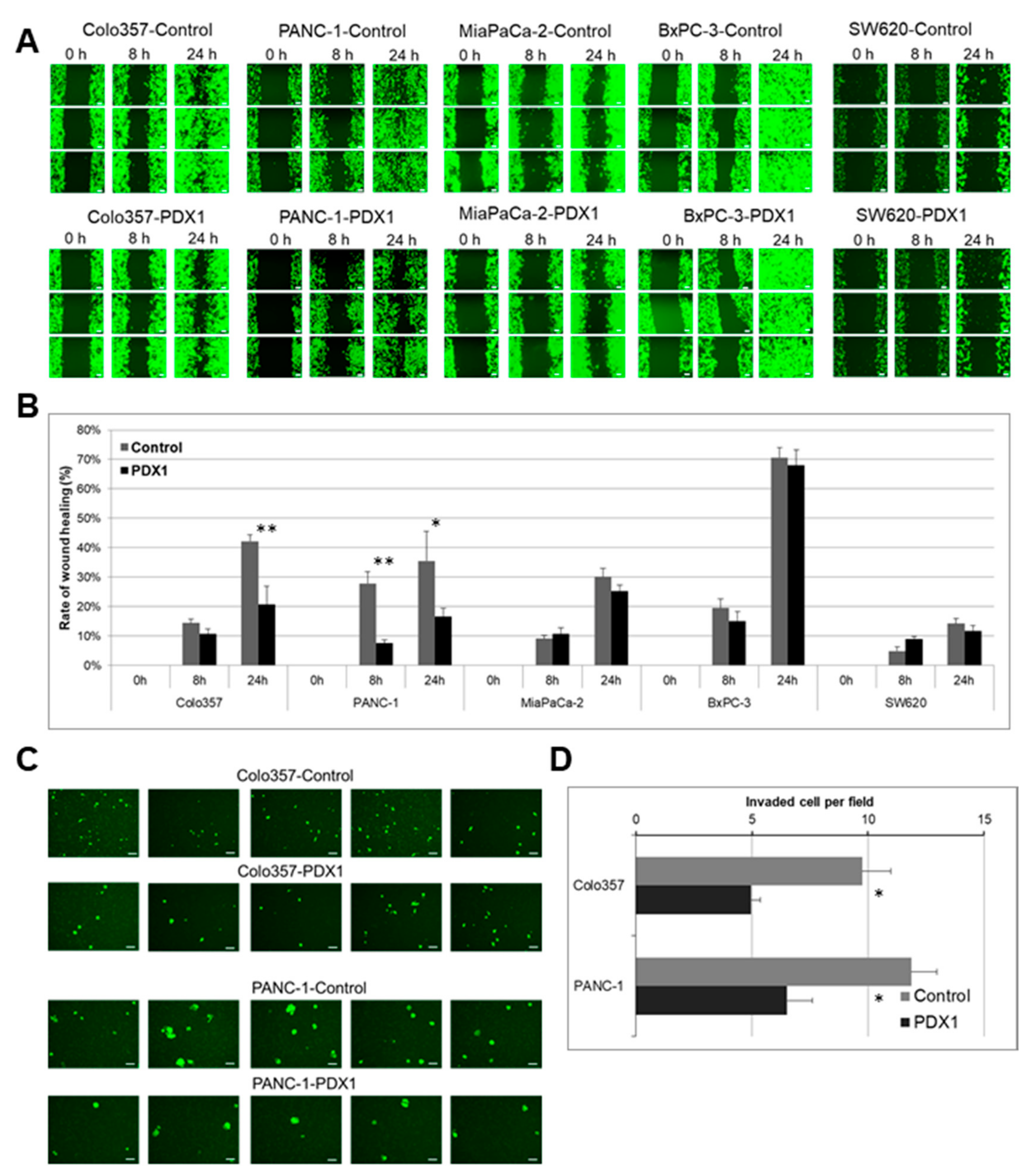 Cancers 13 04390 g001 Cancers 13 04390 g001