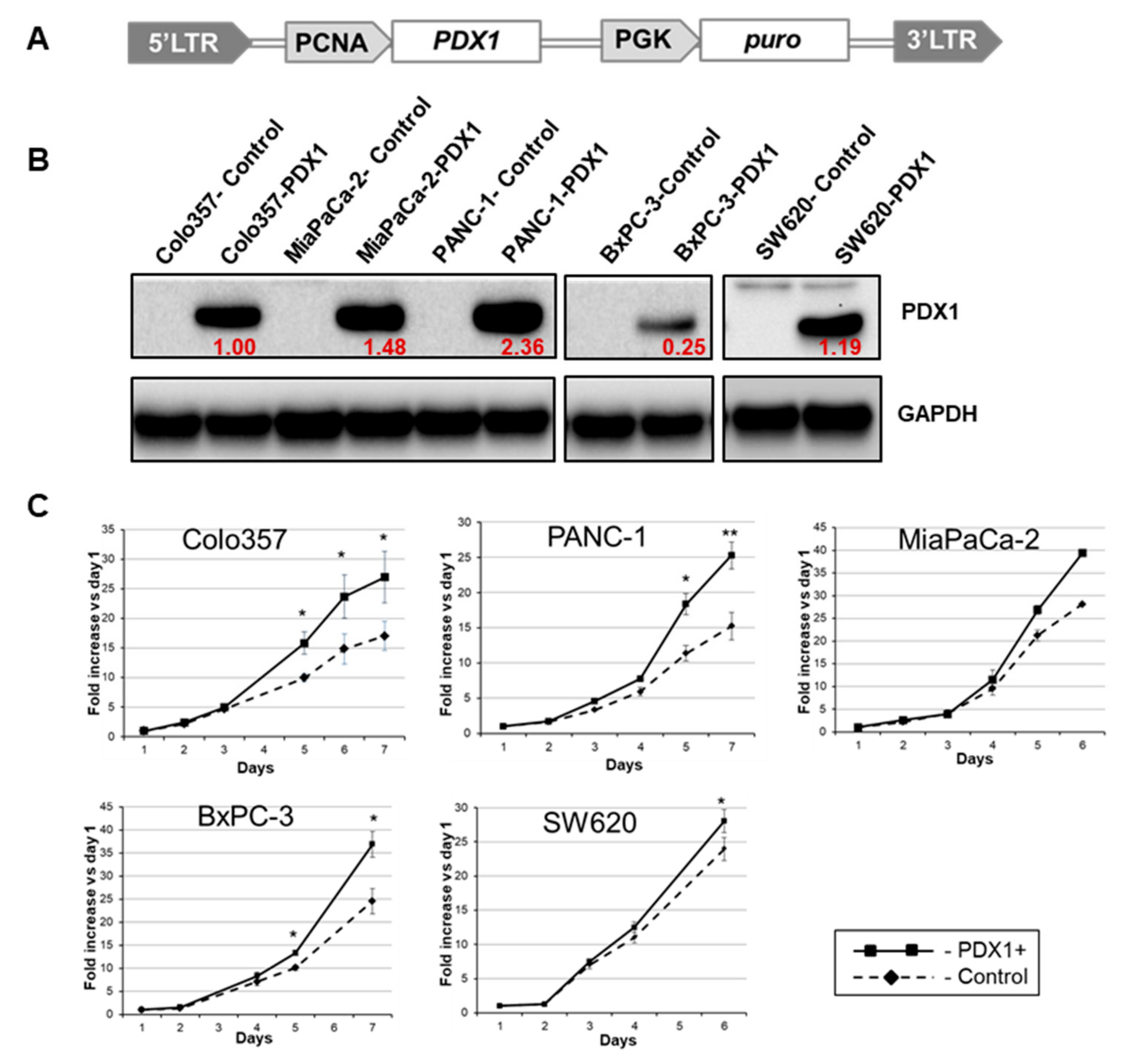 Cancers 13 04390 g002 Cancers 13 04390 g002