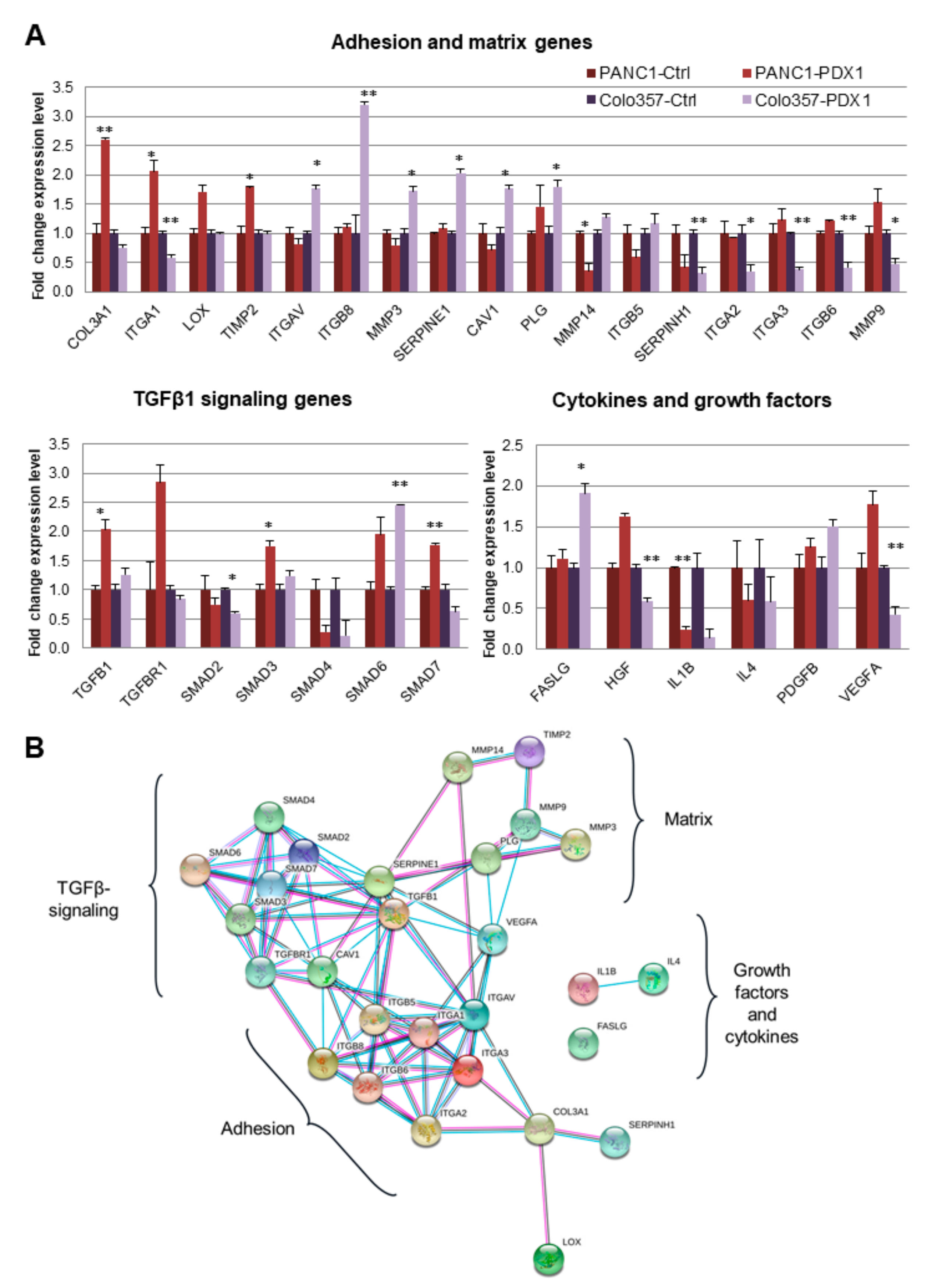 Cancers 13 04390 g003 Cancers 13 04390 g003