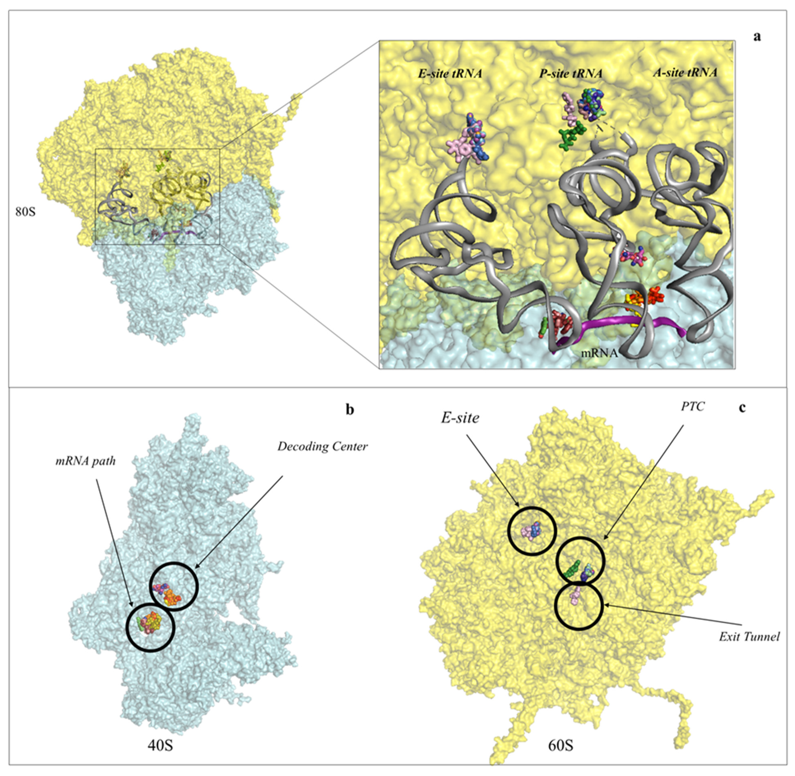 Cancers 13 04392 g002