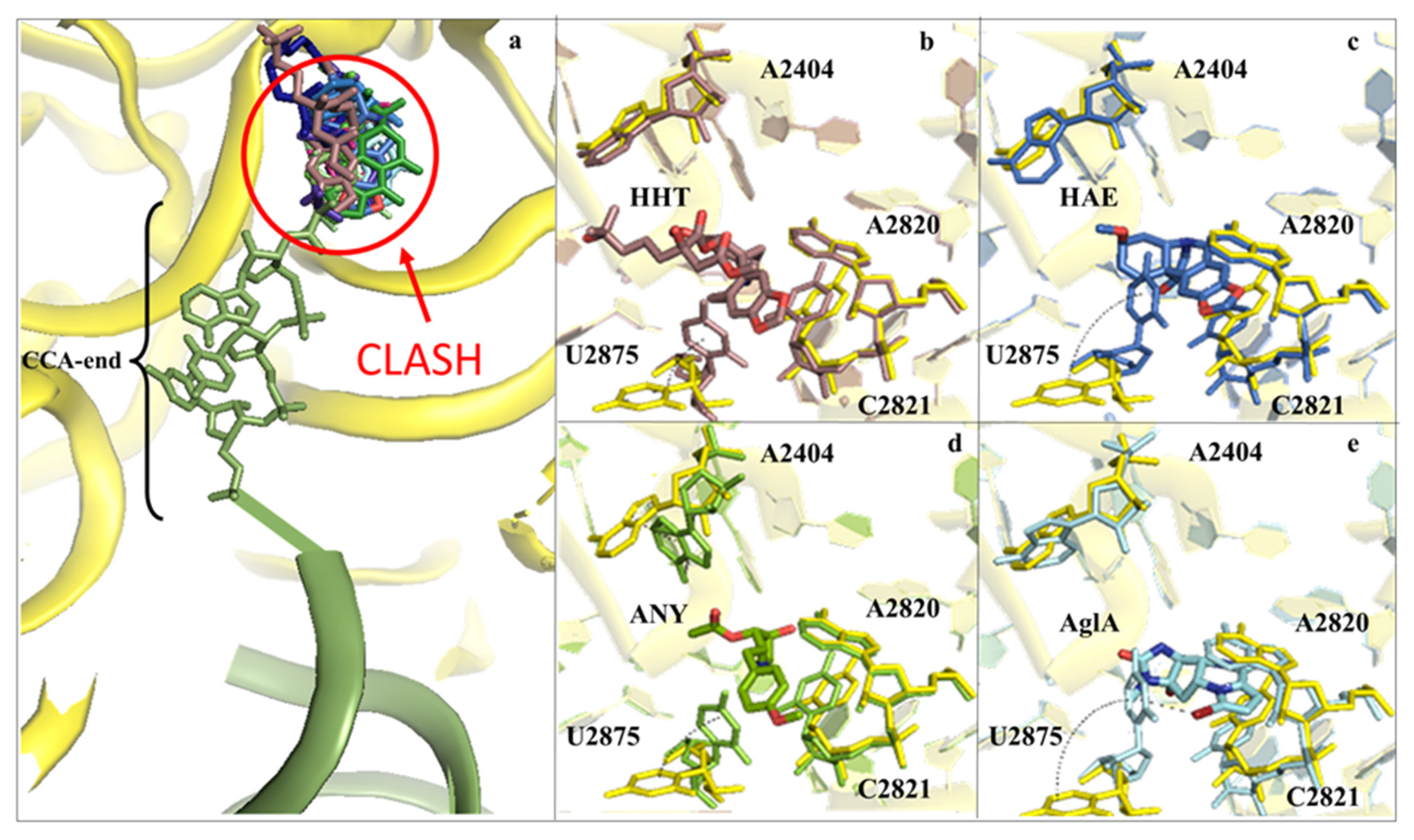 Cancers 13 04392 g003