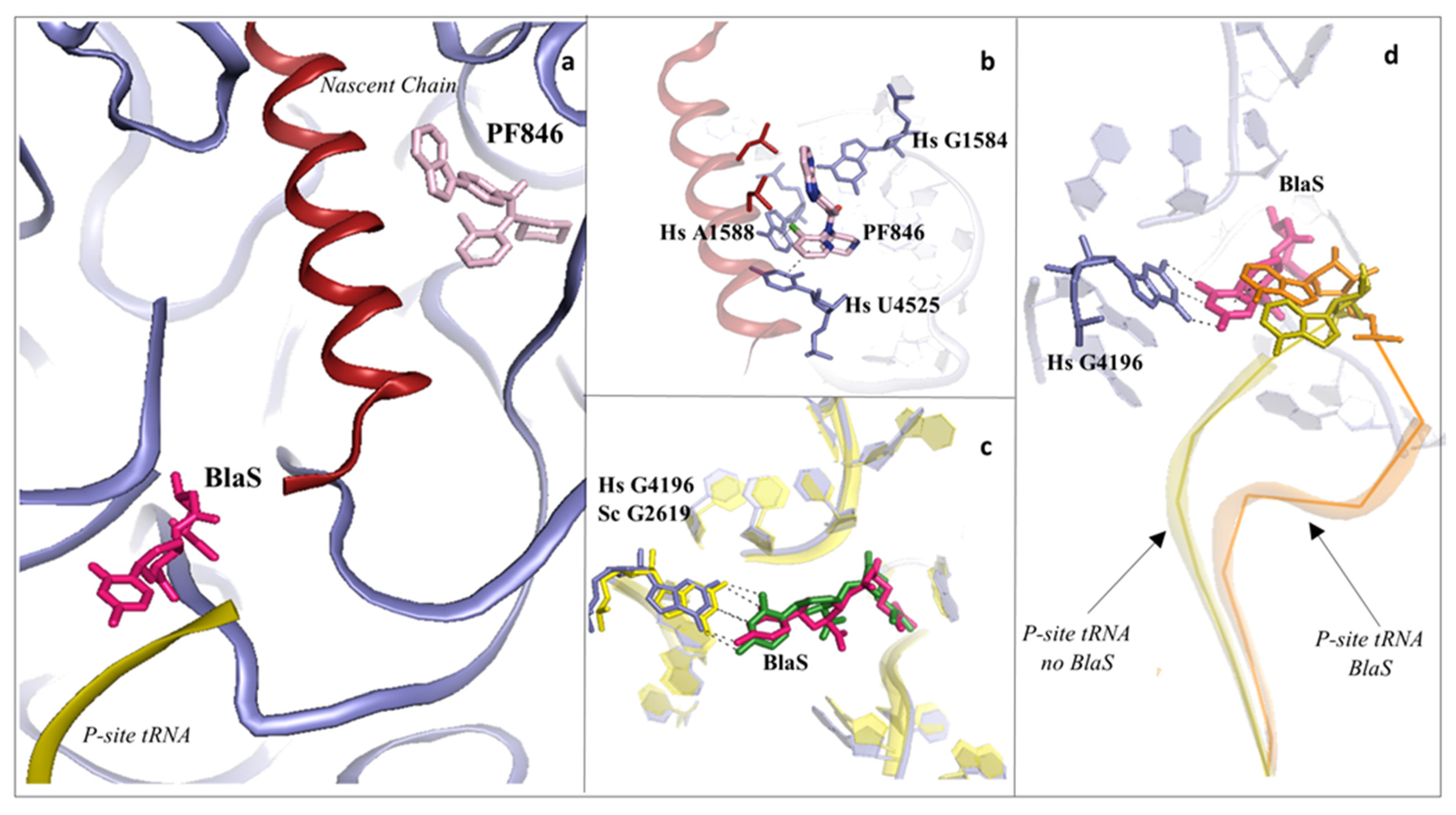 Cancers 13 04392 g004