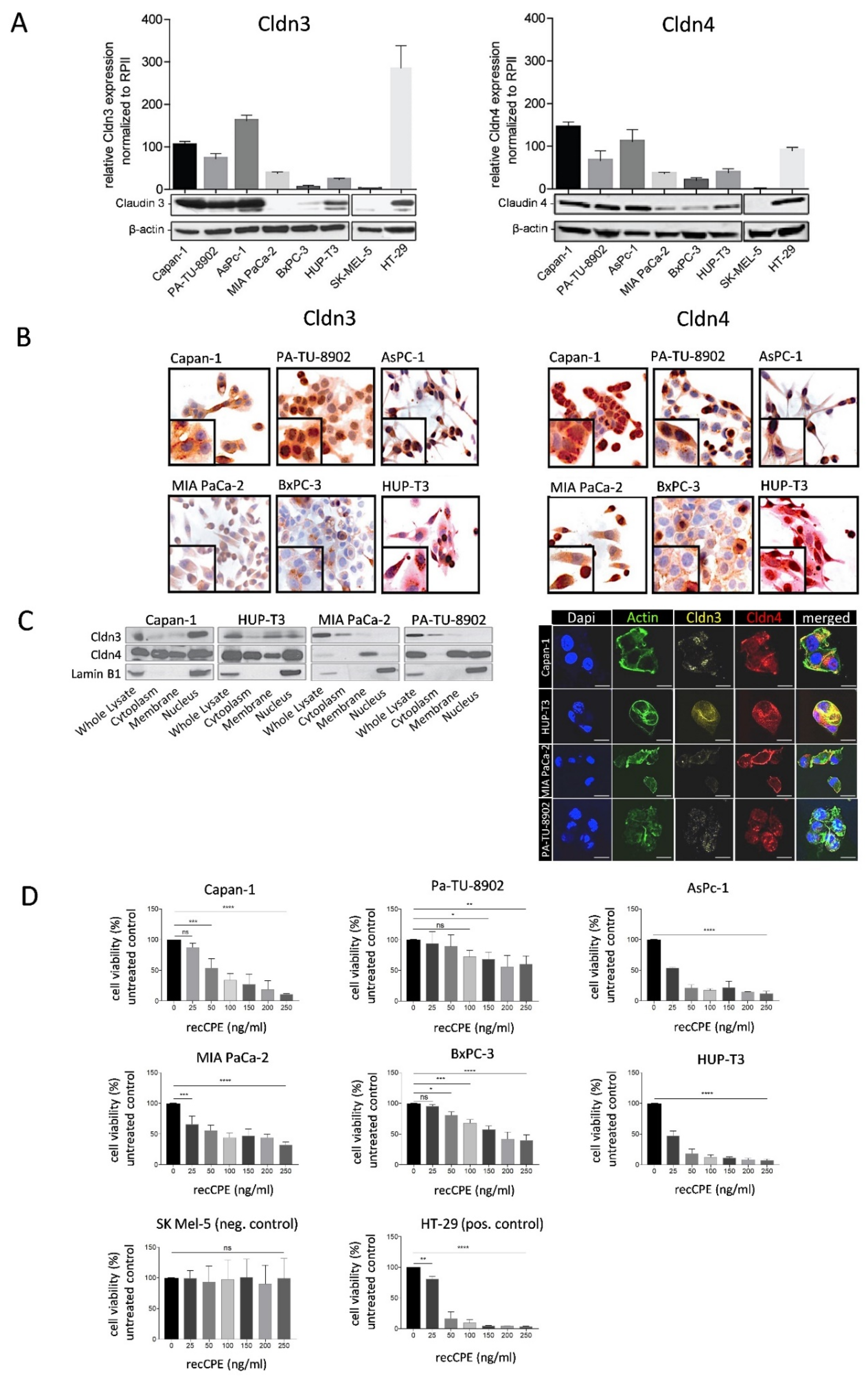 Cancers 13 04393 g001