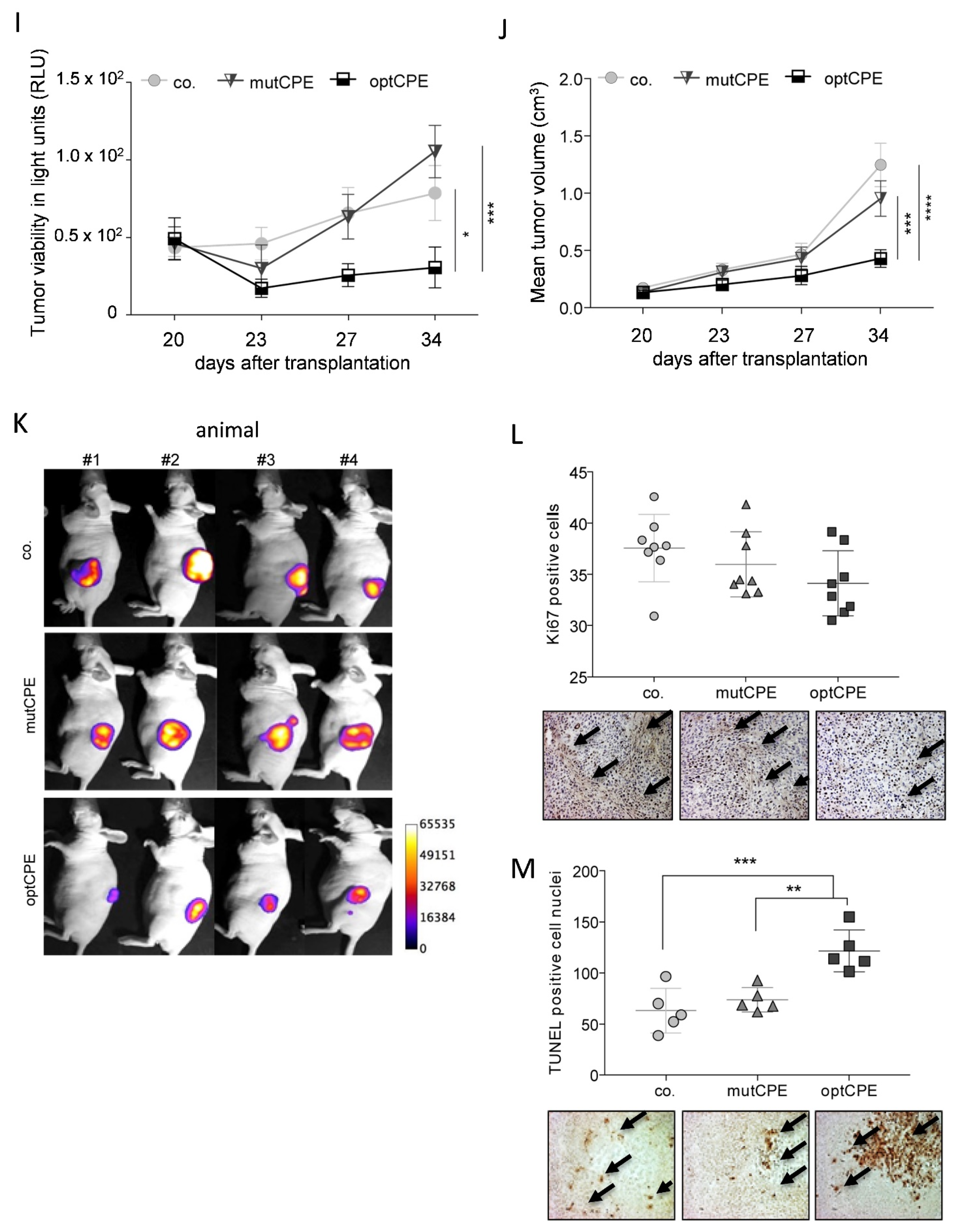 Cancers 13 04393 g006b