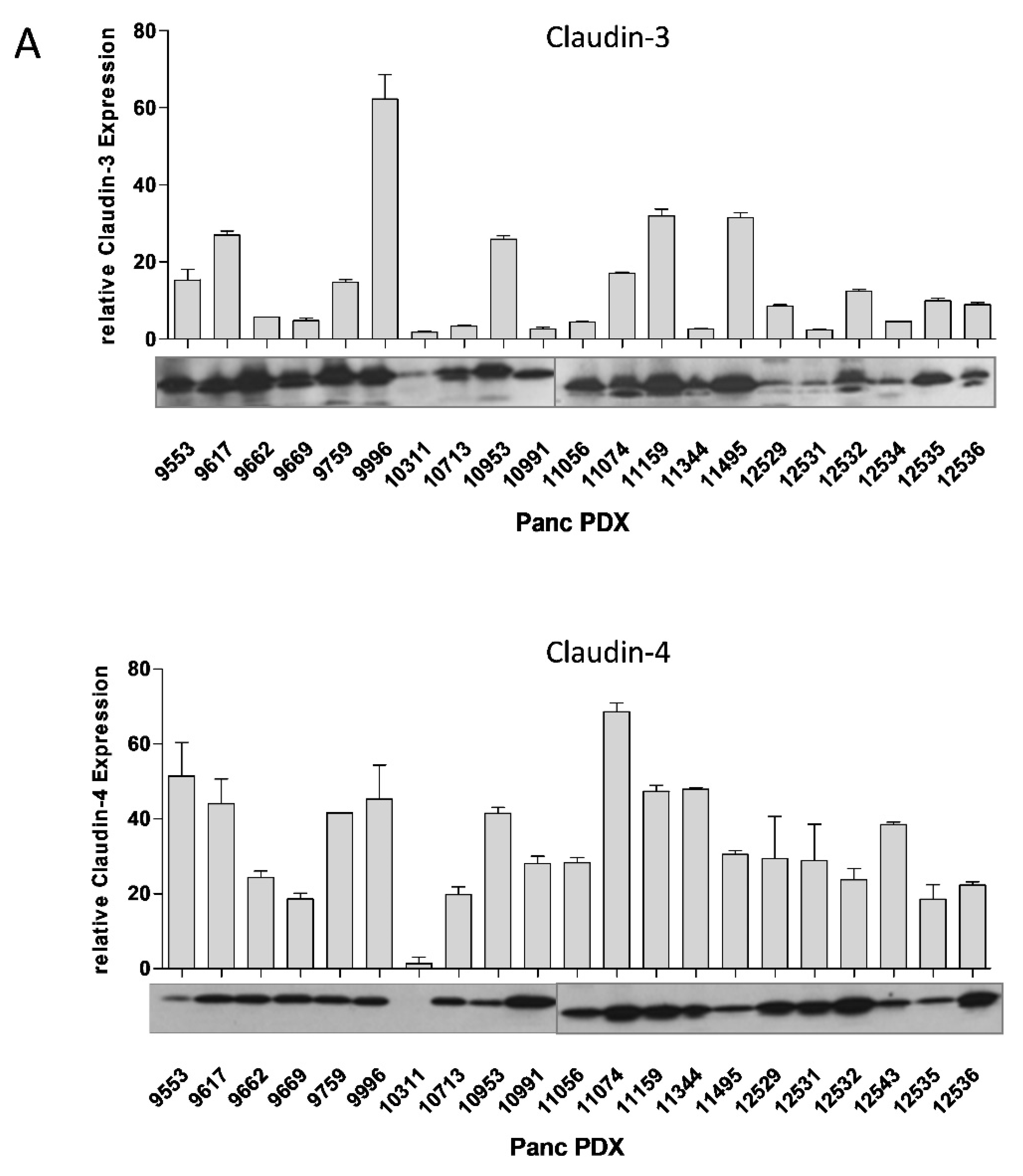 Cancers 13 04393 g007a