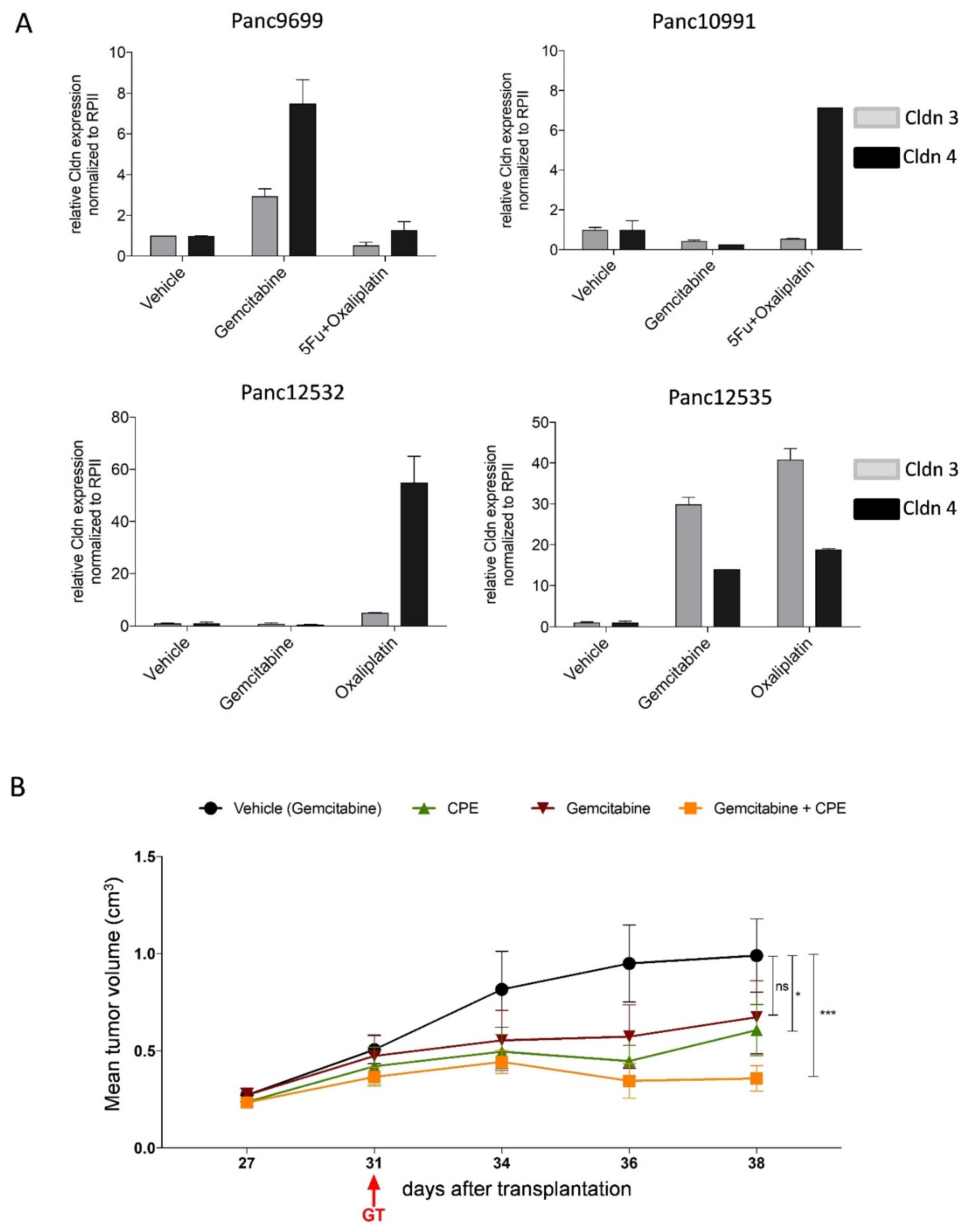 Cancers 13 04393 g008