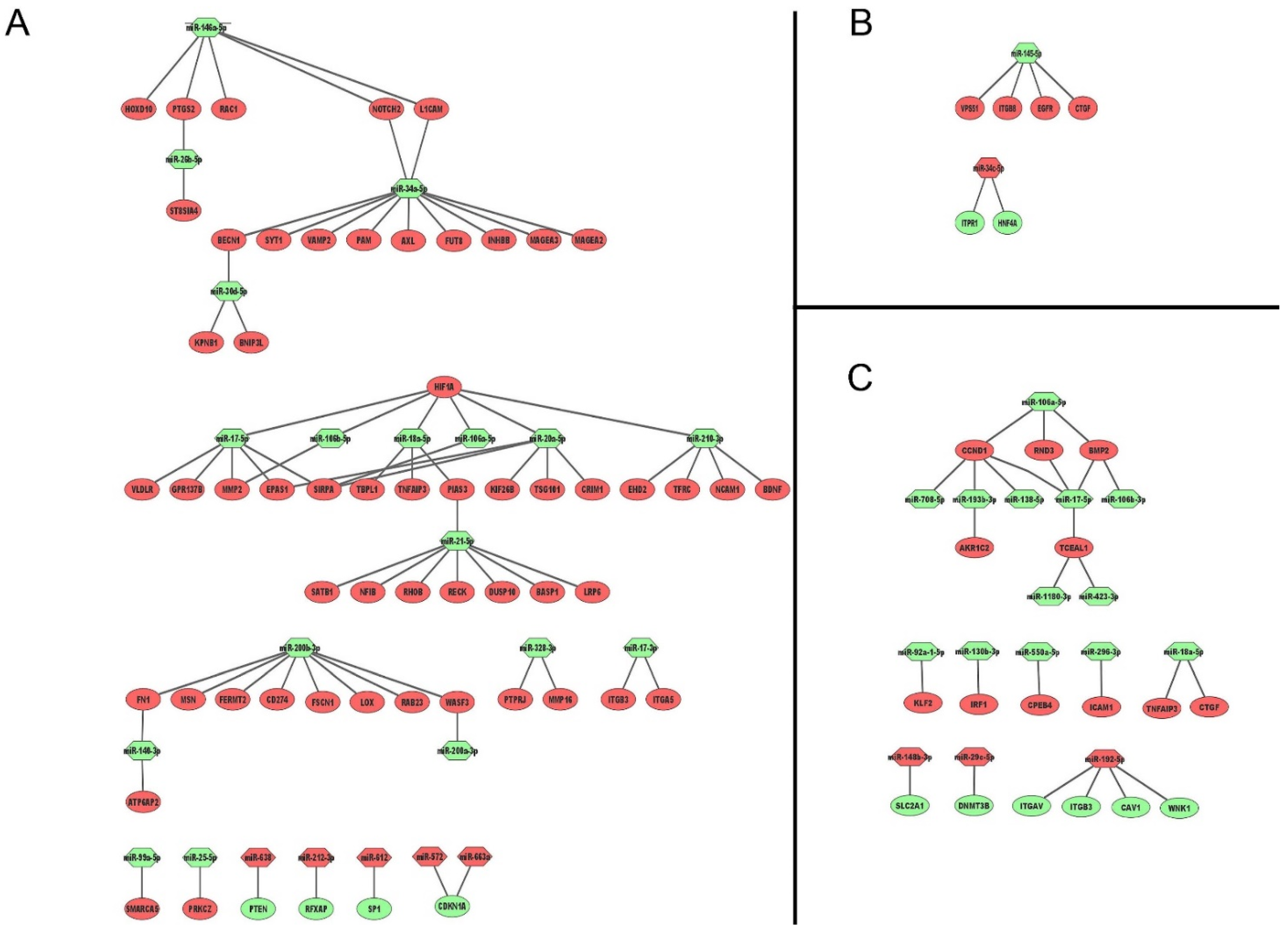 Cancers 13 04401 g003