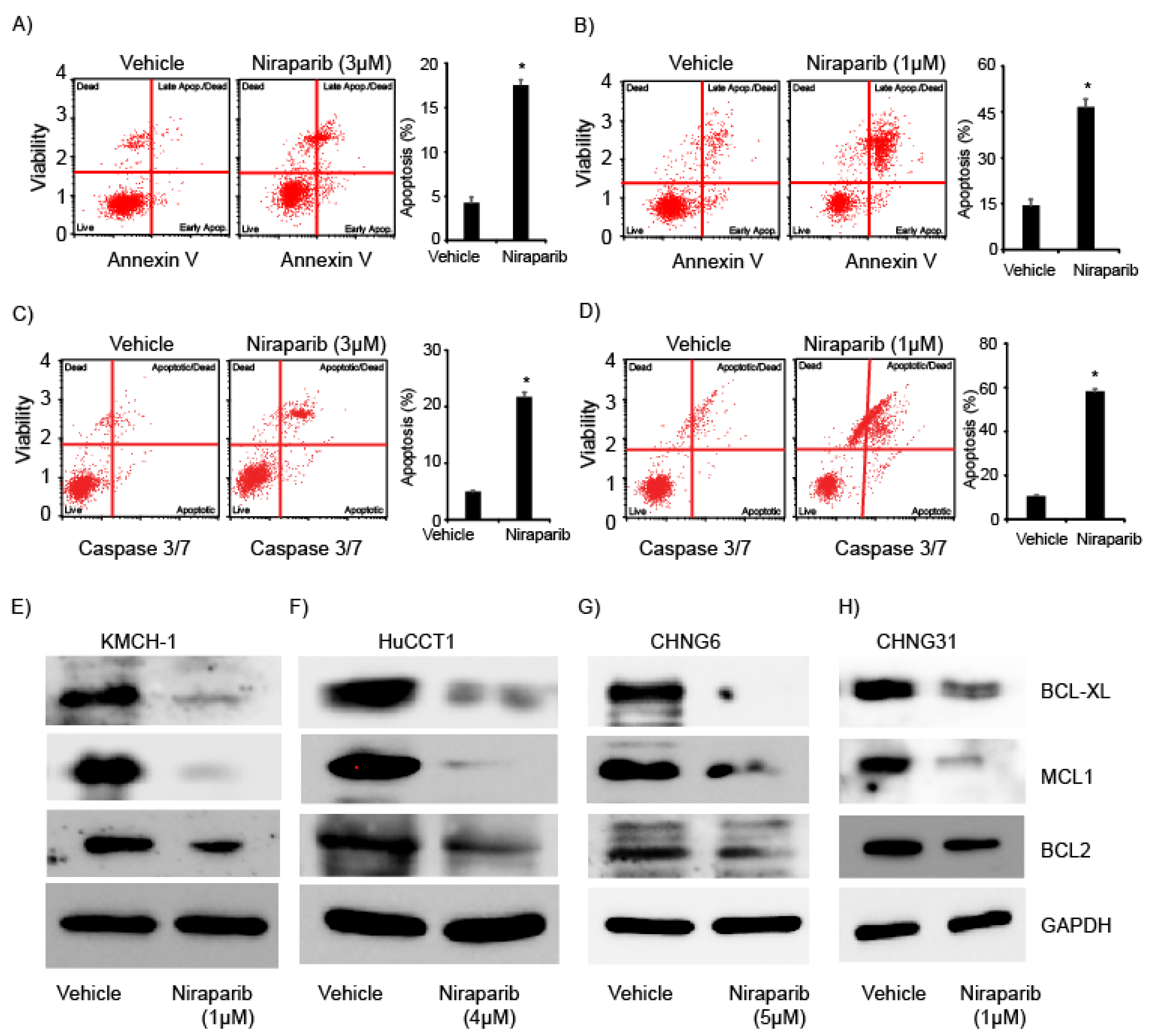 Cancers 13 04405 g002 550