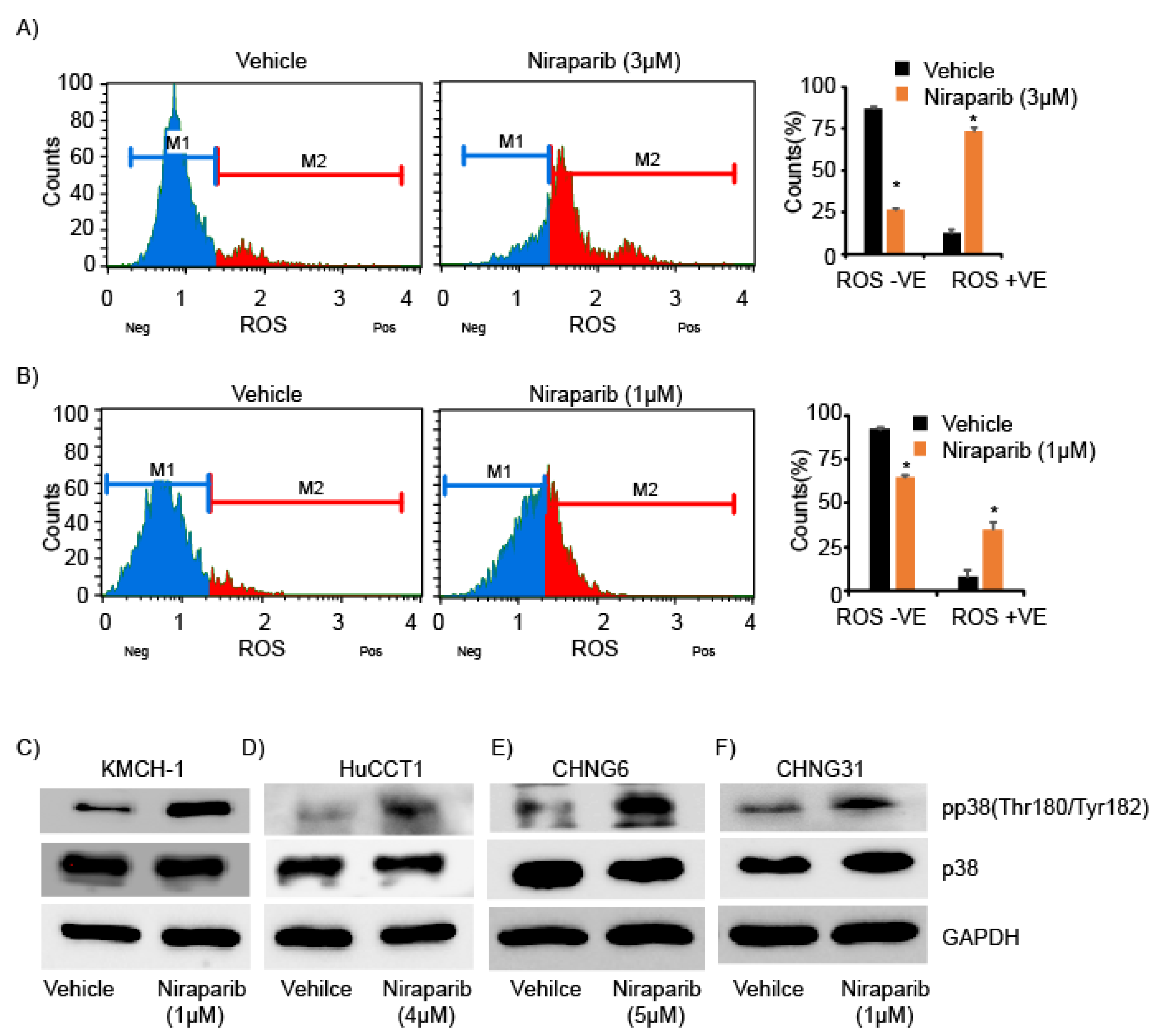 Cancers 13 04405 g003 550