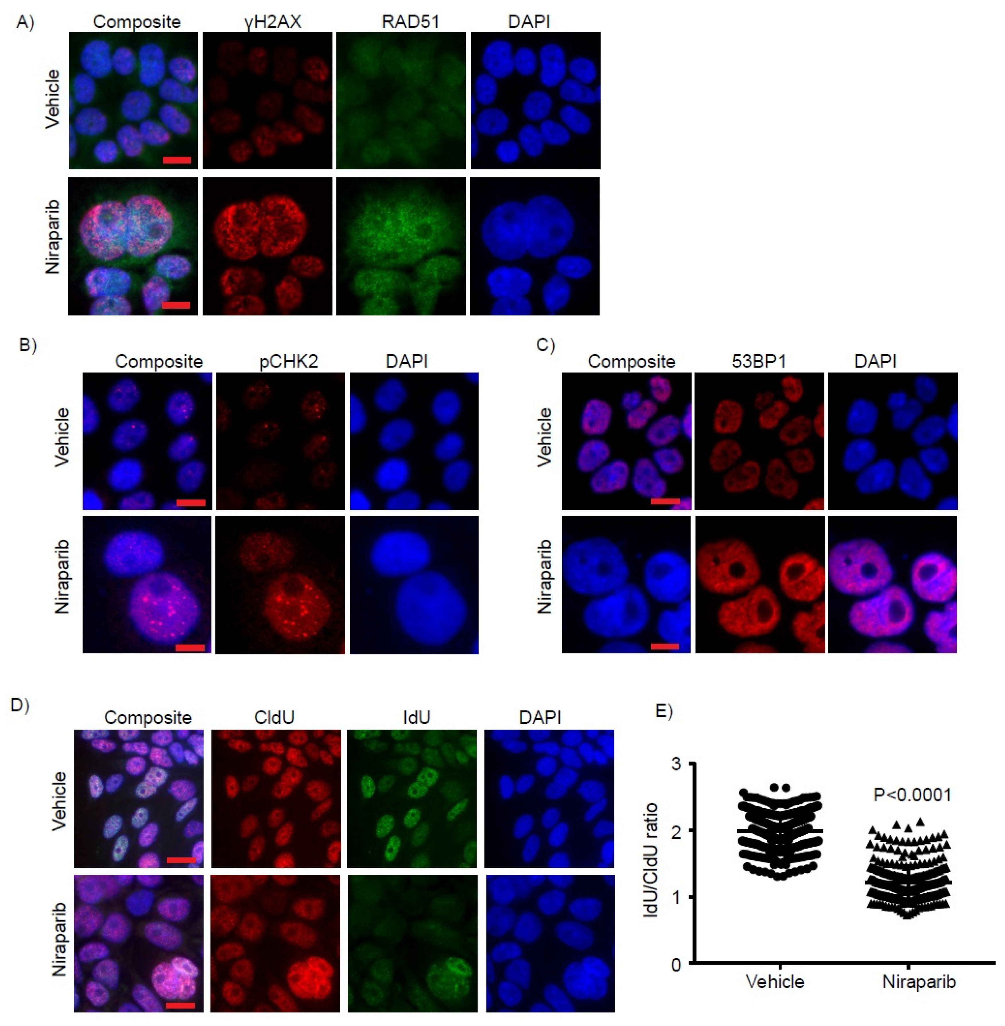 Cancers 13 04405 g004 550