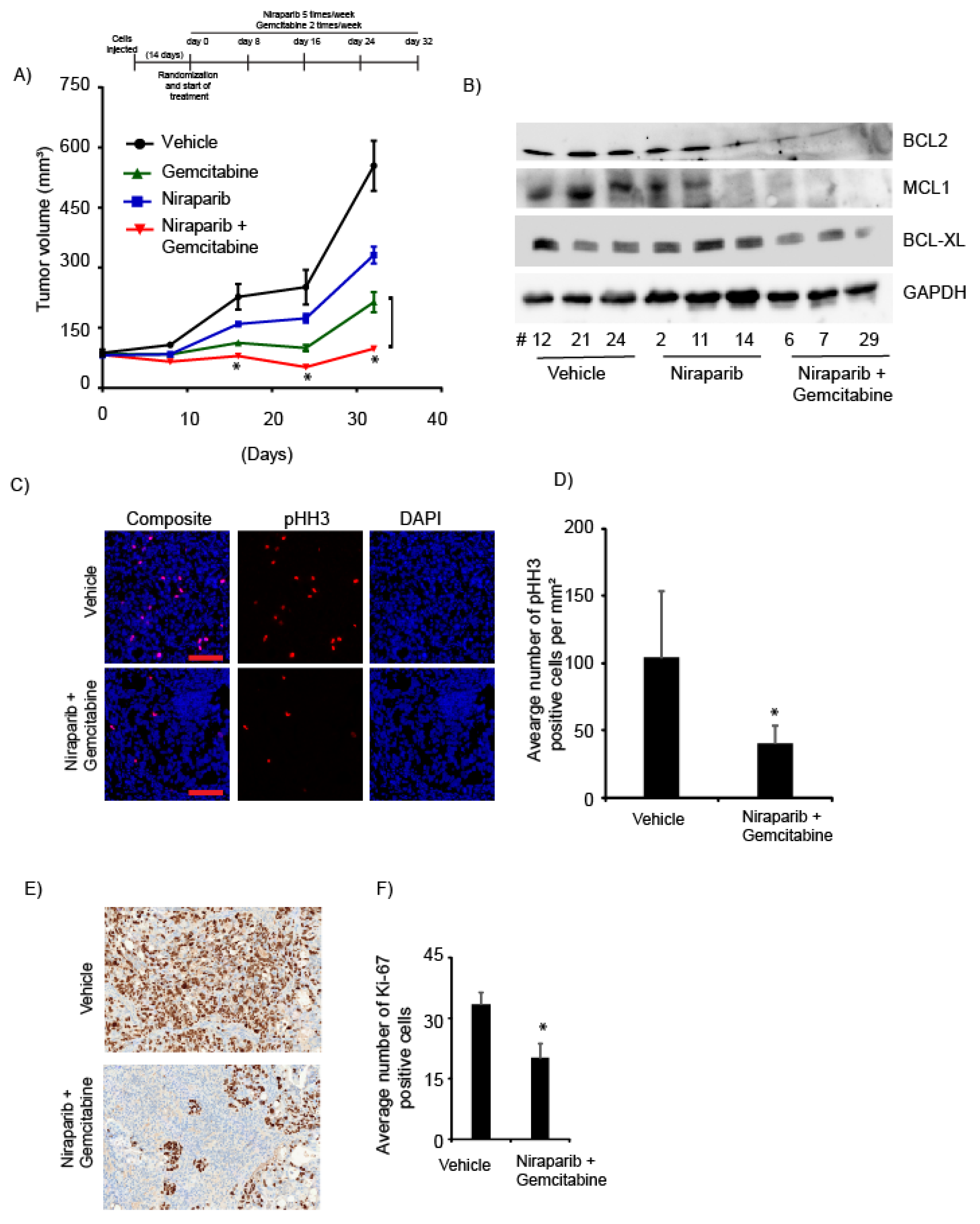 Cancers 13 04405 g005 550