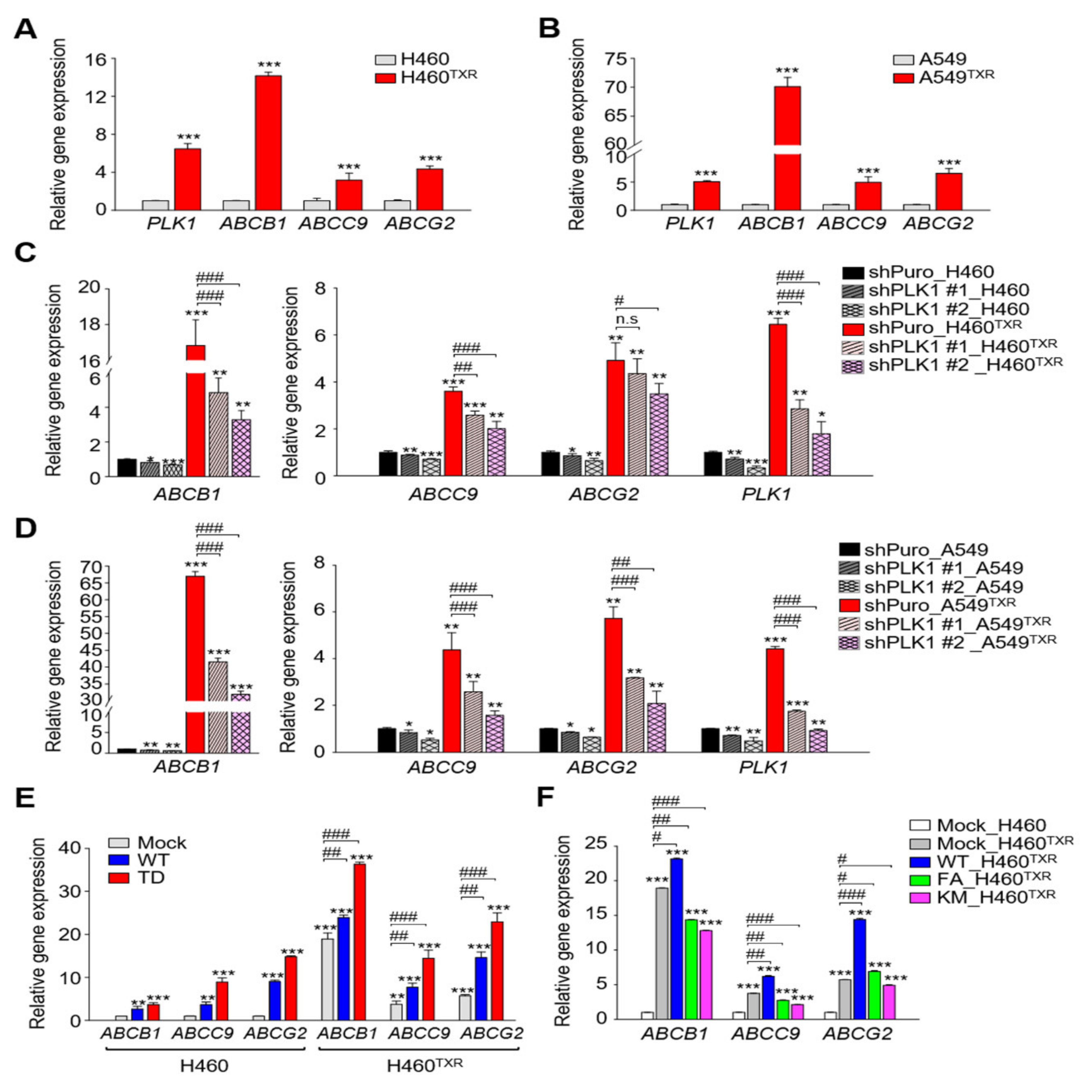 Cancers 13 04413 g001 550