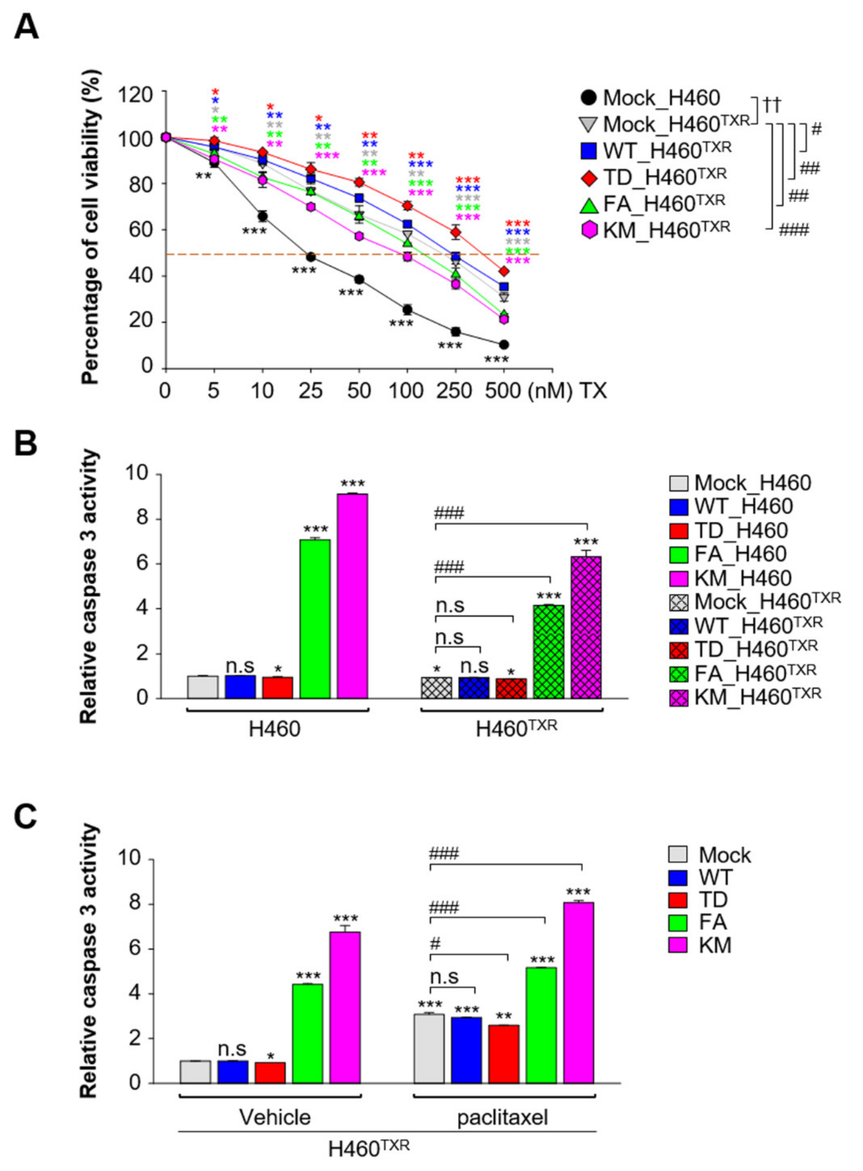 Cancers 13 04413 g002 550