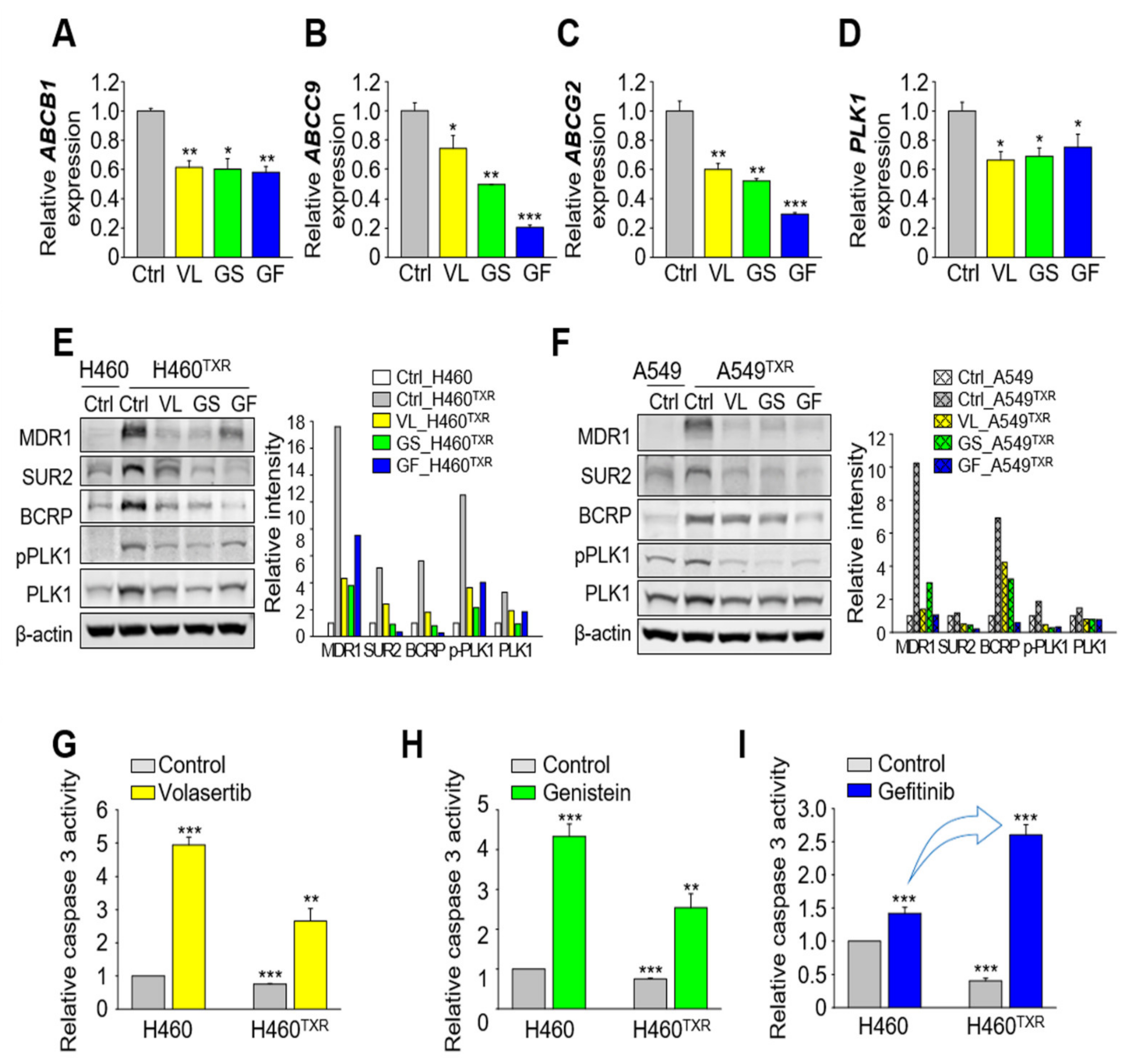 Cancers 13 04413 g004 550