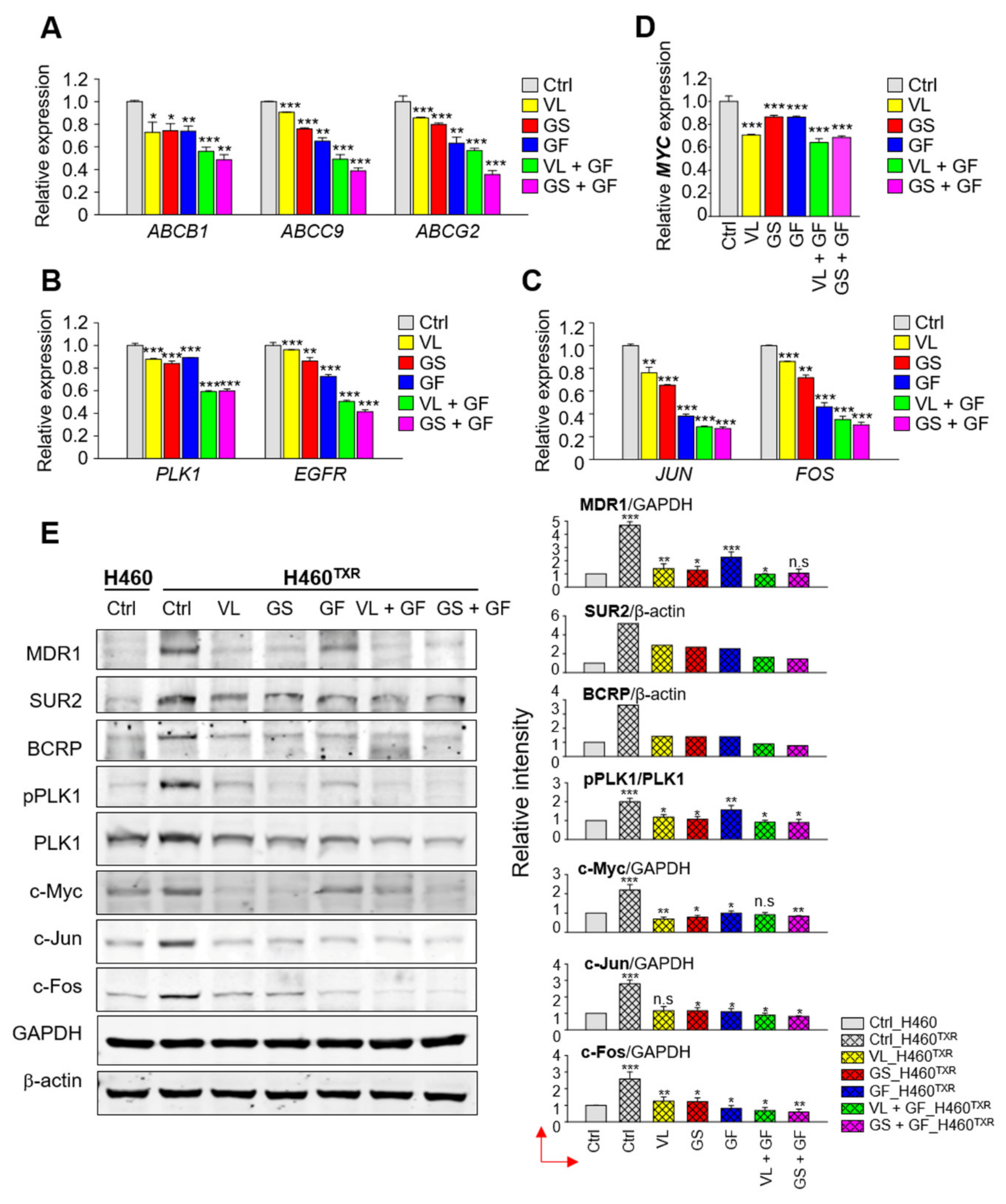 Cancers 13 04413 g007 550