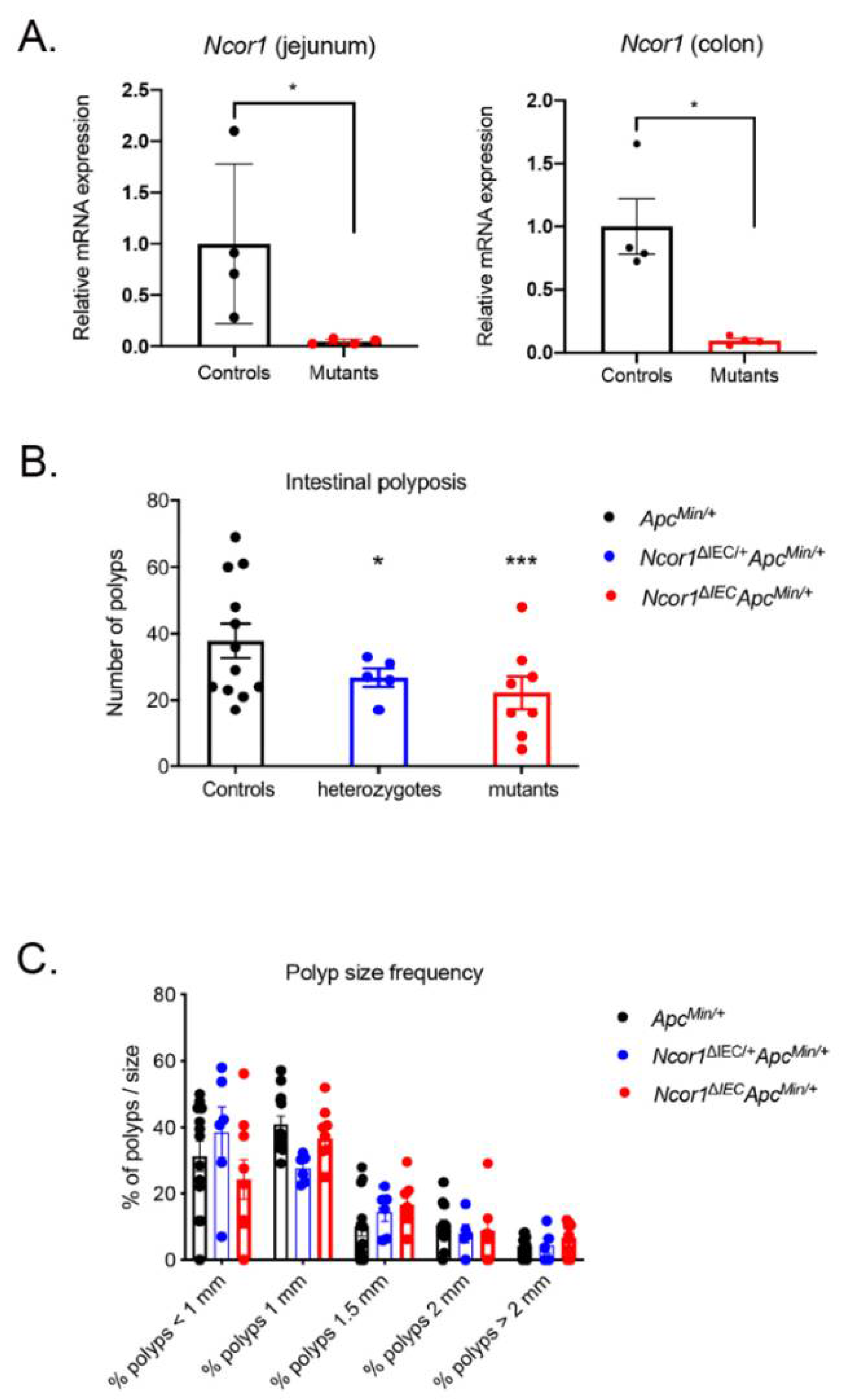 Cancers | Free Full-Text | NCOR1 Sustains Colorectal Cancer Cell 
