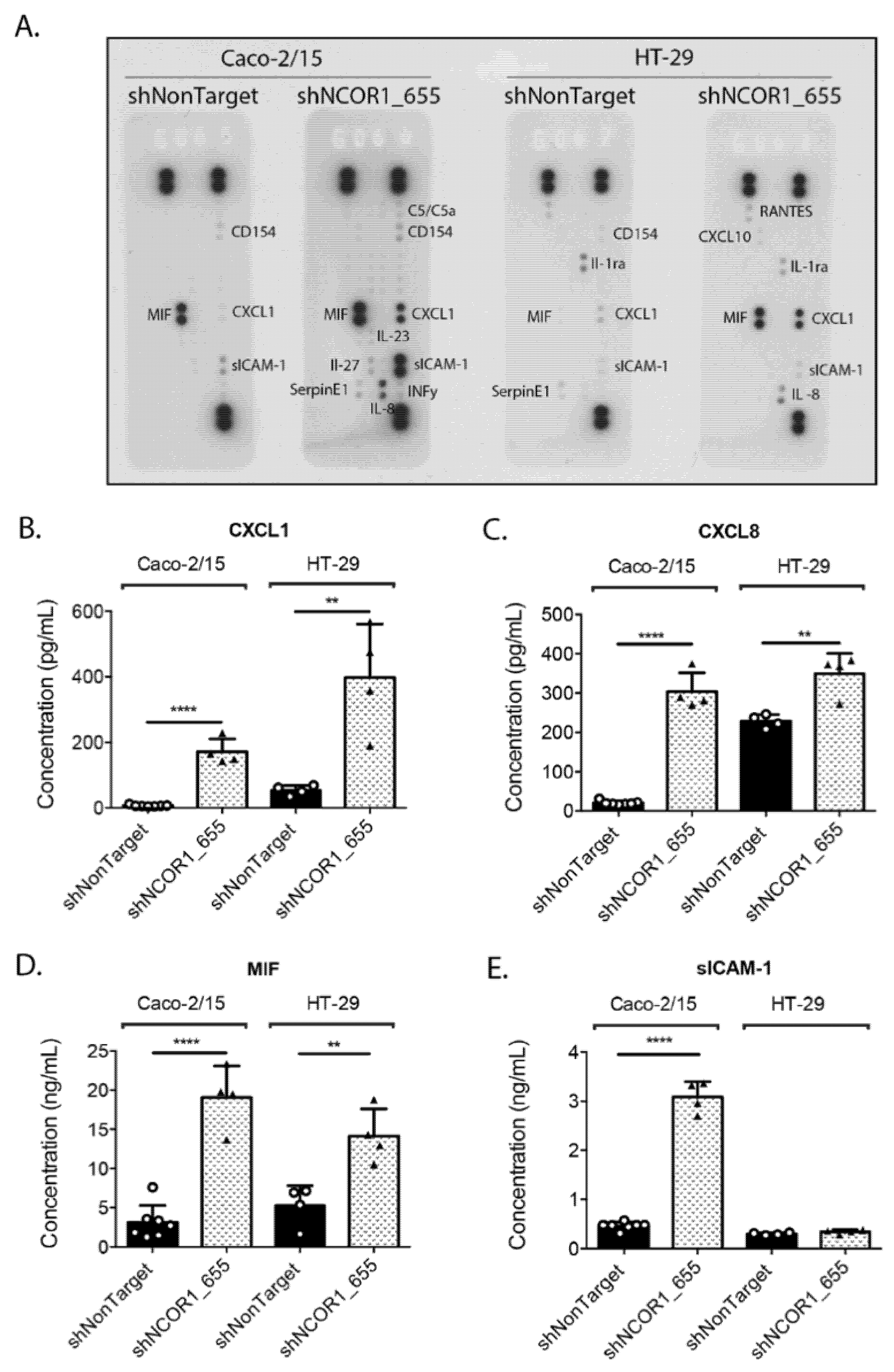 Cancers 13 04414 g005 Cancers 13 04414 g005