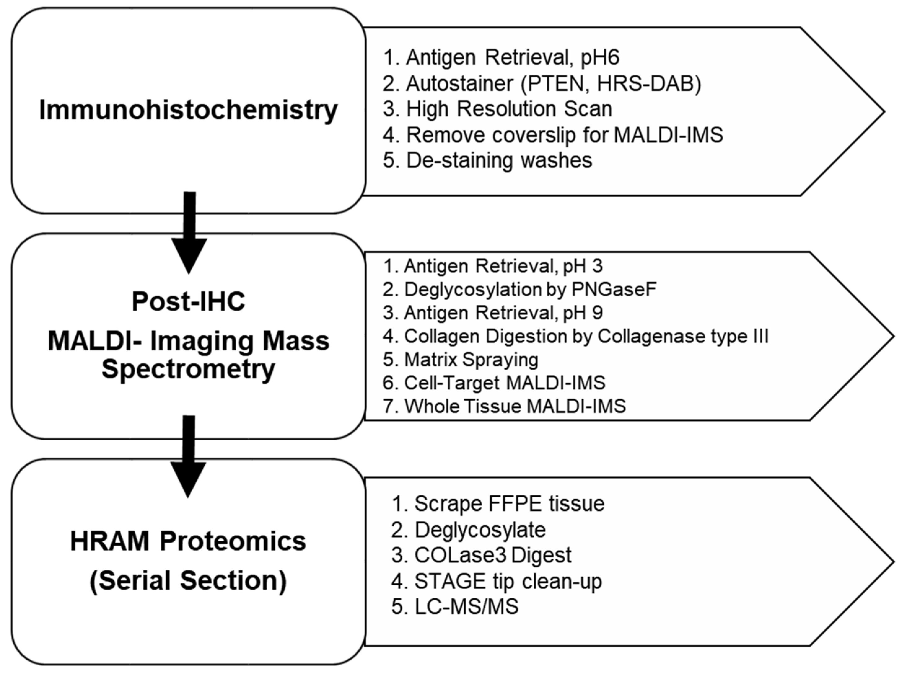 Cancers 13 04419 g001 Cancers 13 04419 g001