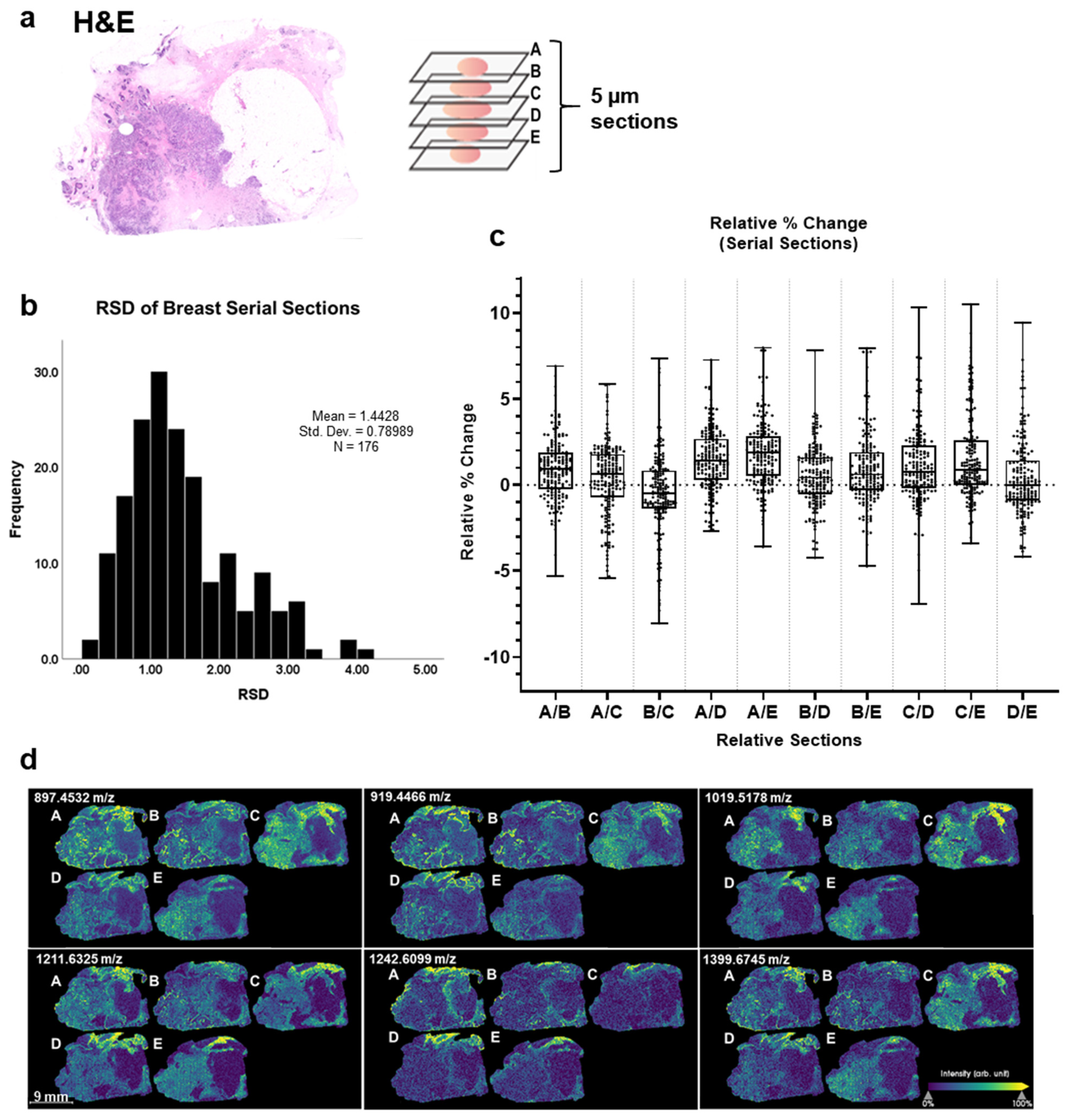 Cancers 13 04419 g002 Cancers 13 04419 g002