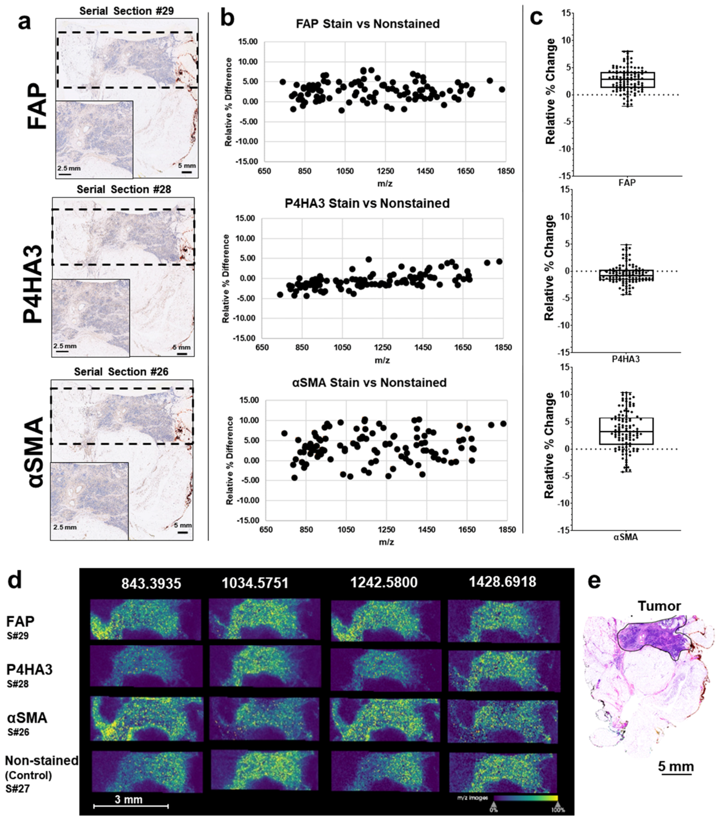 Cancers 13 04419 g003 Cancers 13 04419 g003