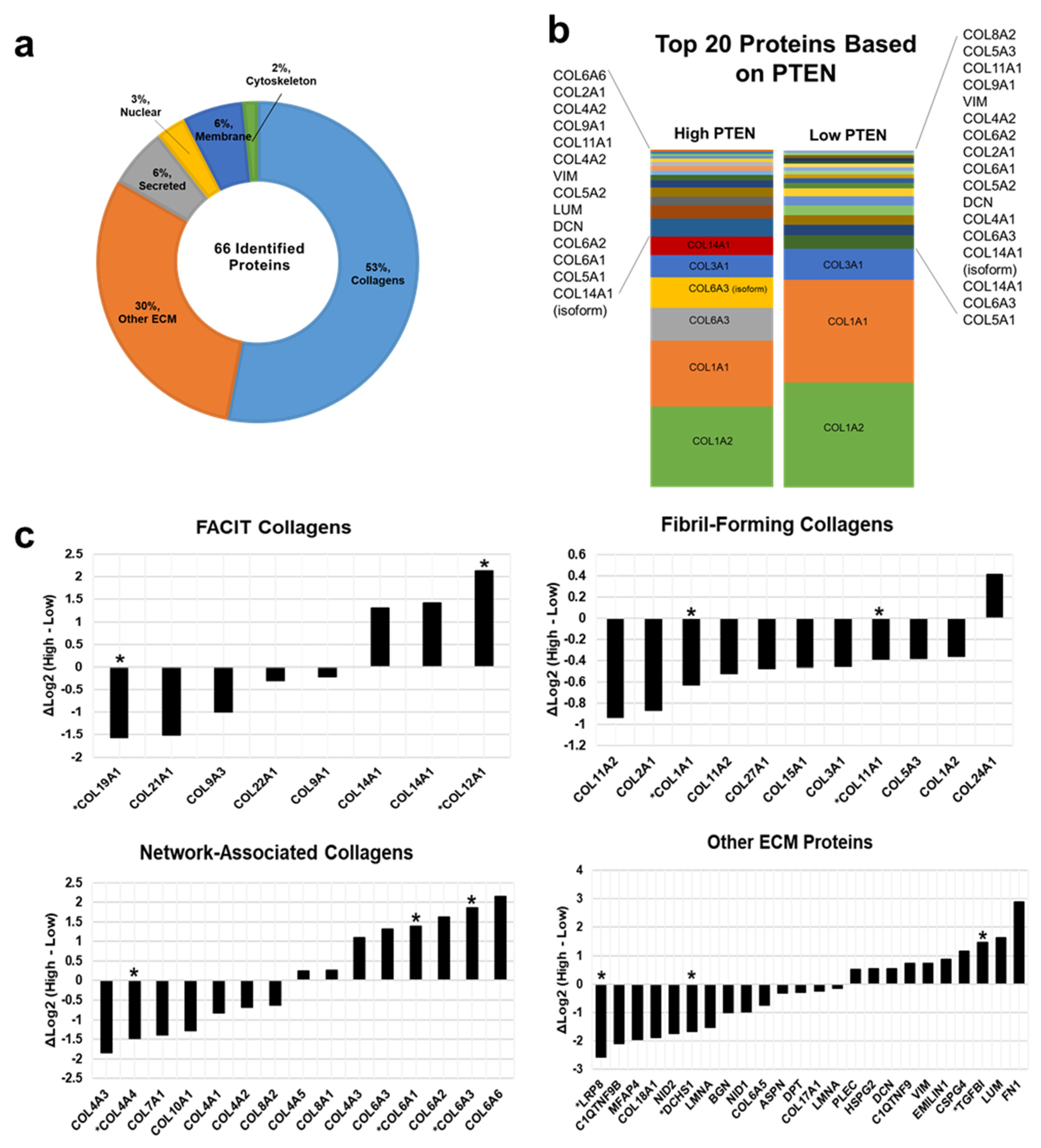 Cancers 13 04419 g005 Cancers 13 04419 g005