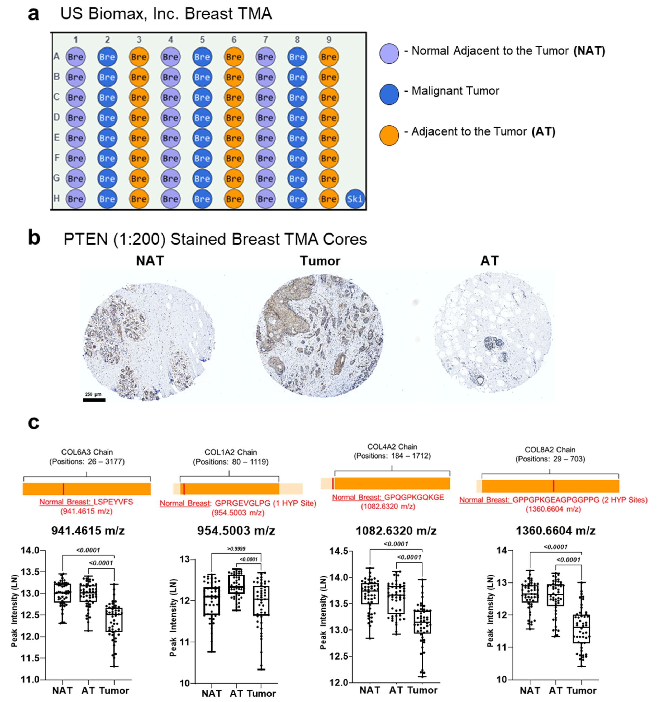 Cancers 13 04419 g006 Cancers 13 04419 g006