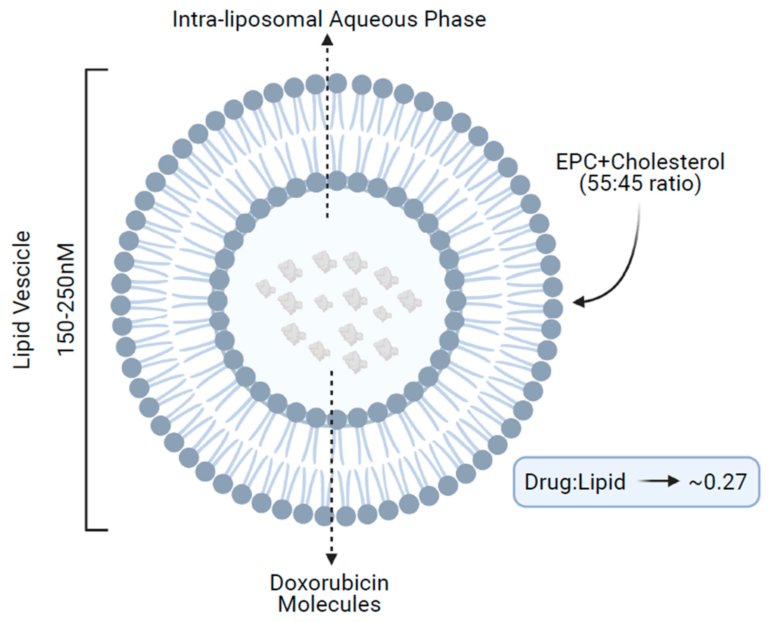 Cancers 13 04421 g001