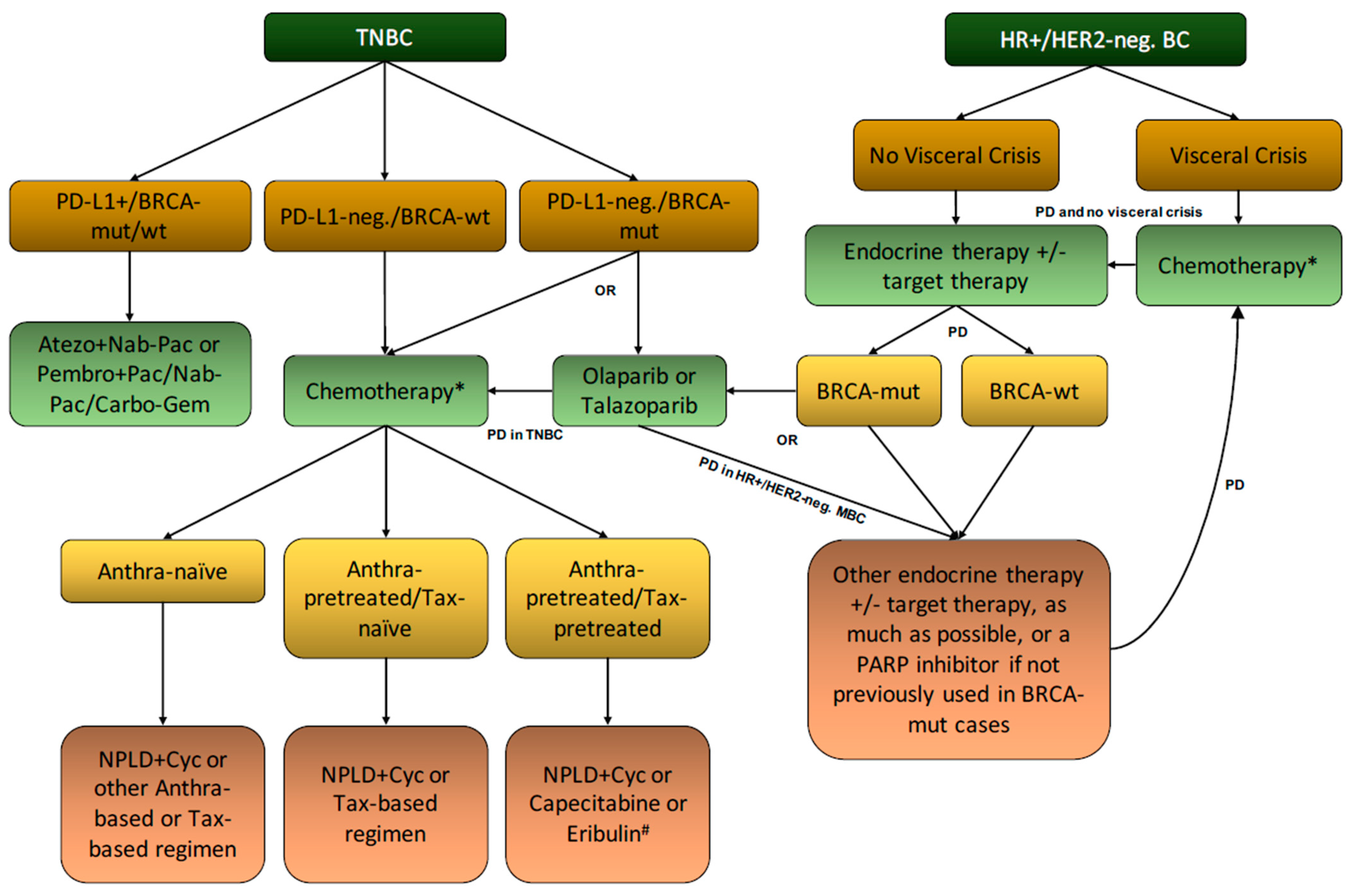 Cancers 13 04421 g002