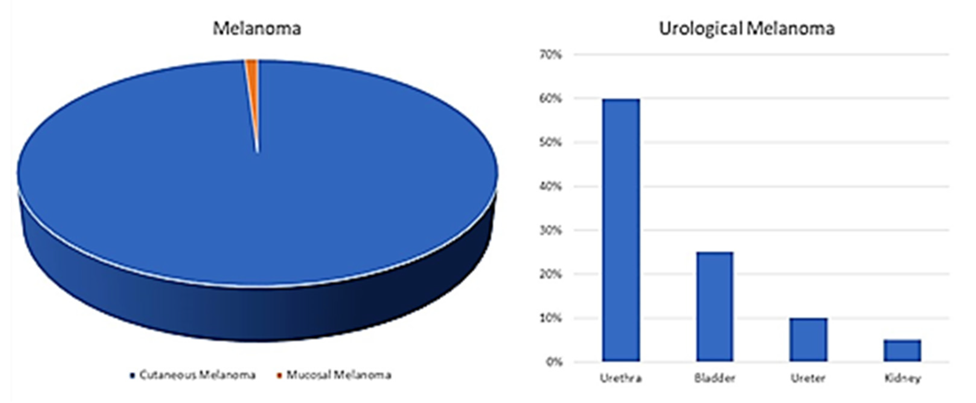 Cancers | Free Full-Text | Urological Melanoma: A Comprehensive Review of a  Rare Subclass of Mucosal Melanoma with Emphasis on Differential Diagnosis  and Therapeutic Approaches
